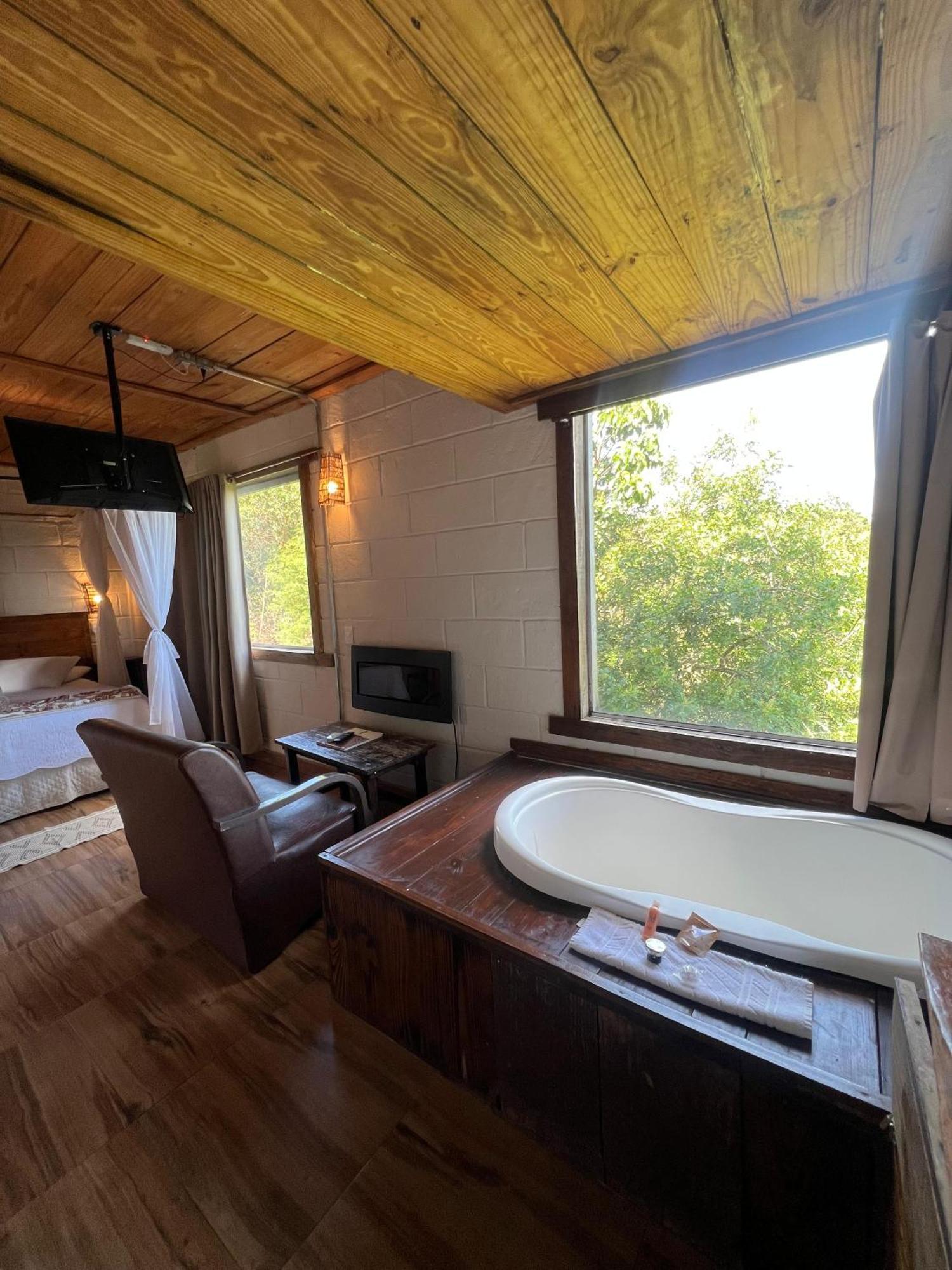 Suite Mountain View
