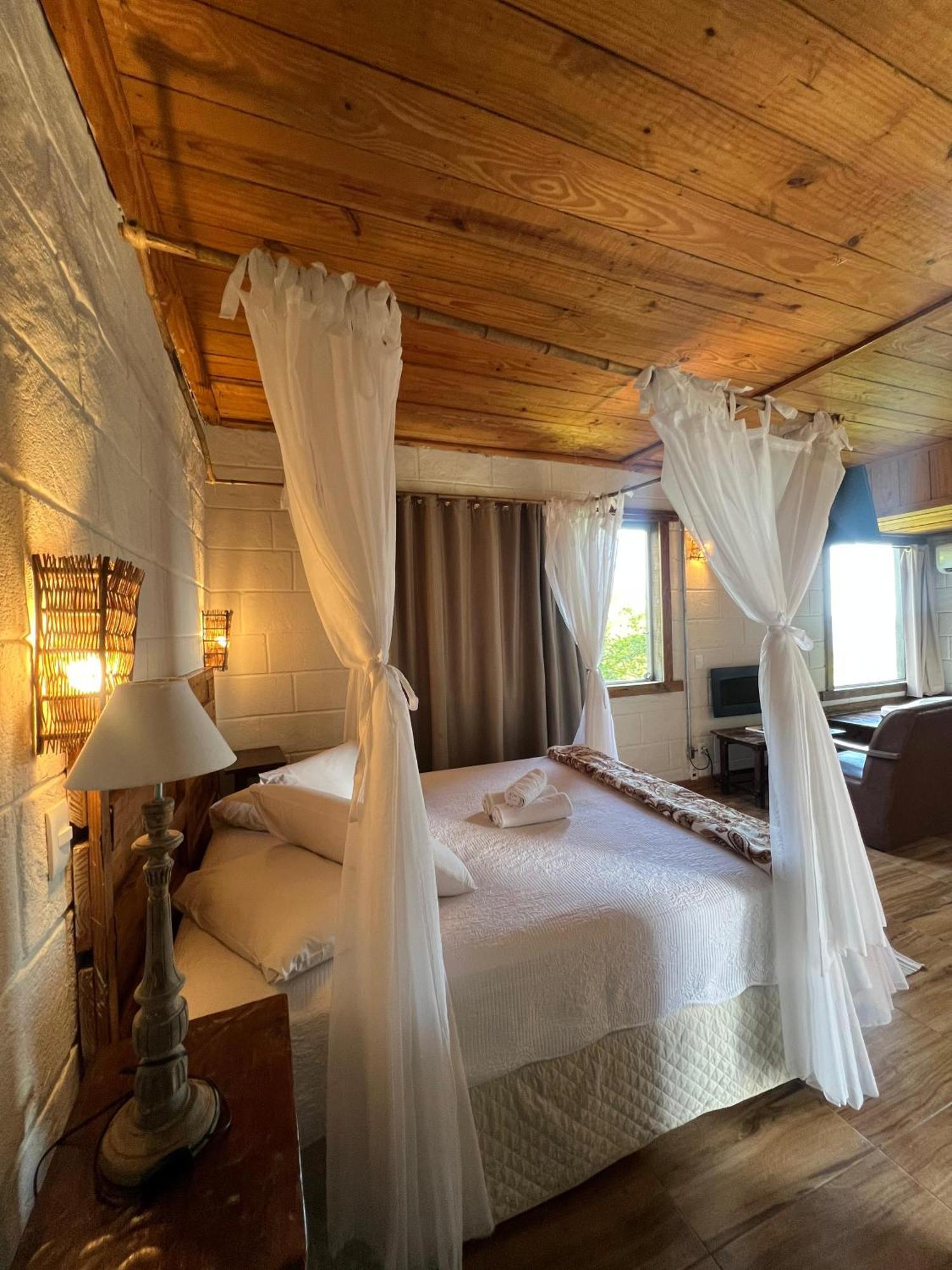Suite Mountain View