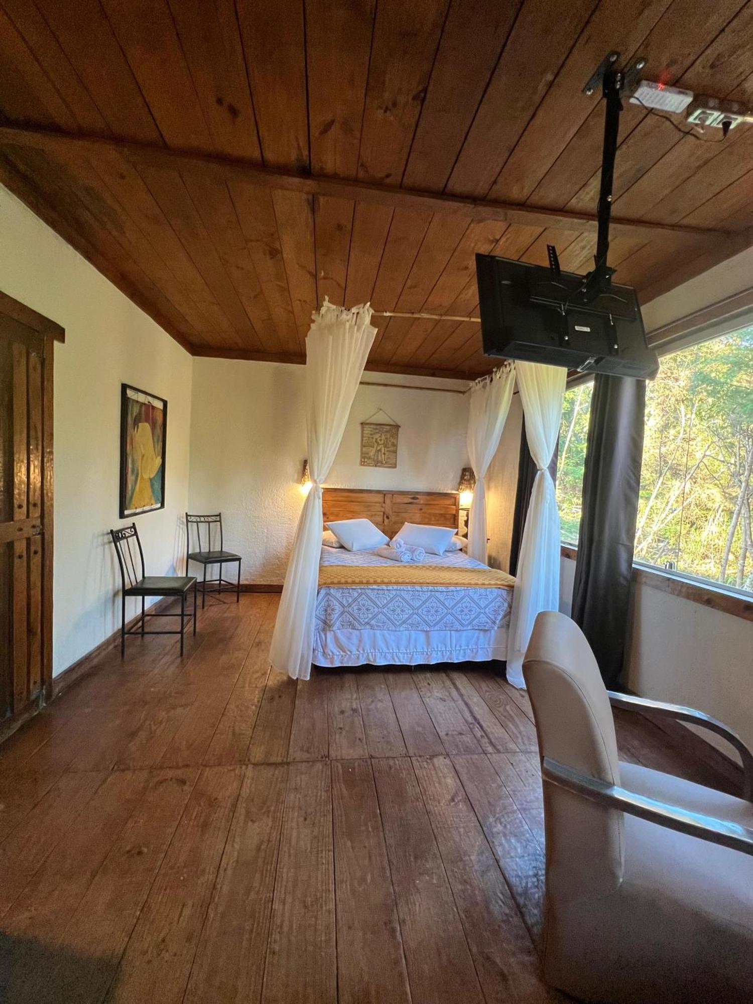 Suite Garden View