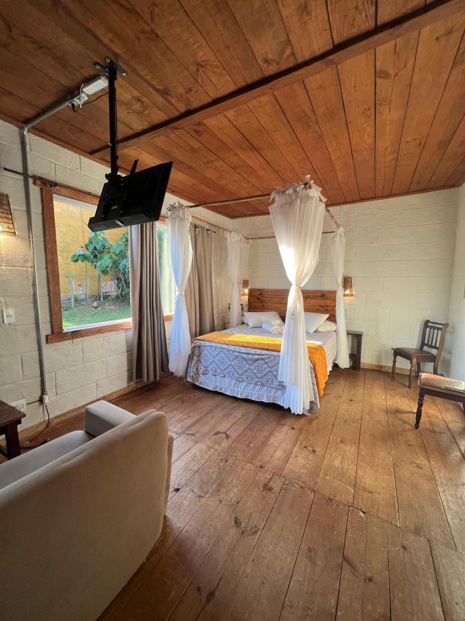 Suite Garden View