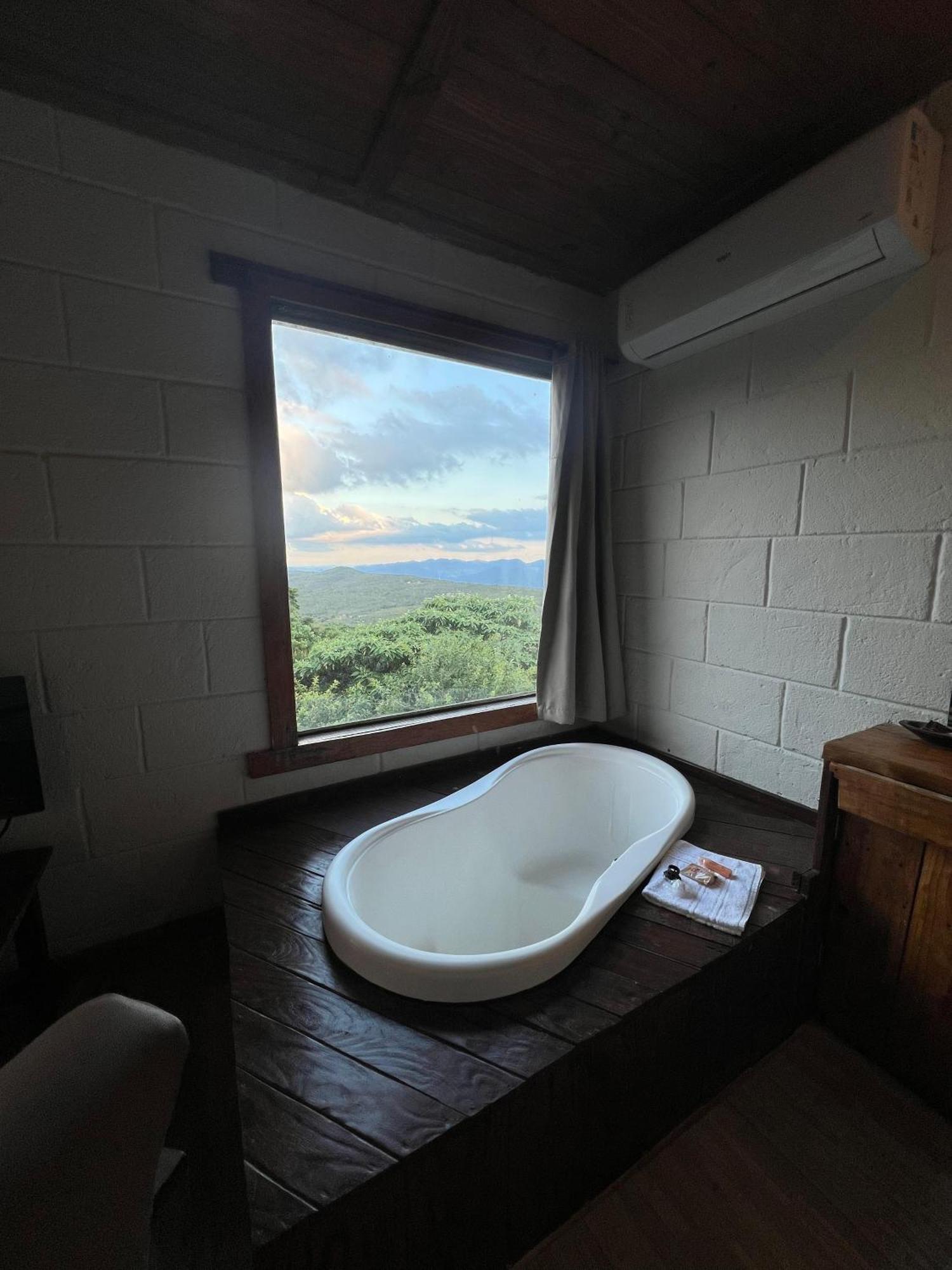 Suite Mountain View