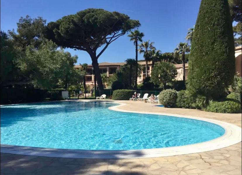 Apartment Pool View