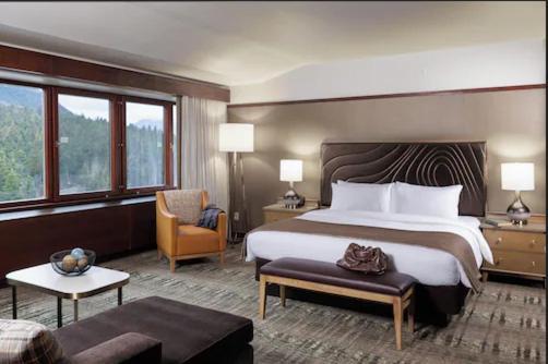 Executive Suite, 1 King Bed, Non Smoking, Club Lounge Access,1758290662:JPEG