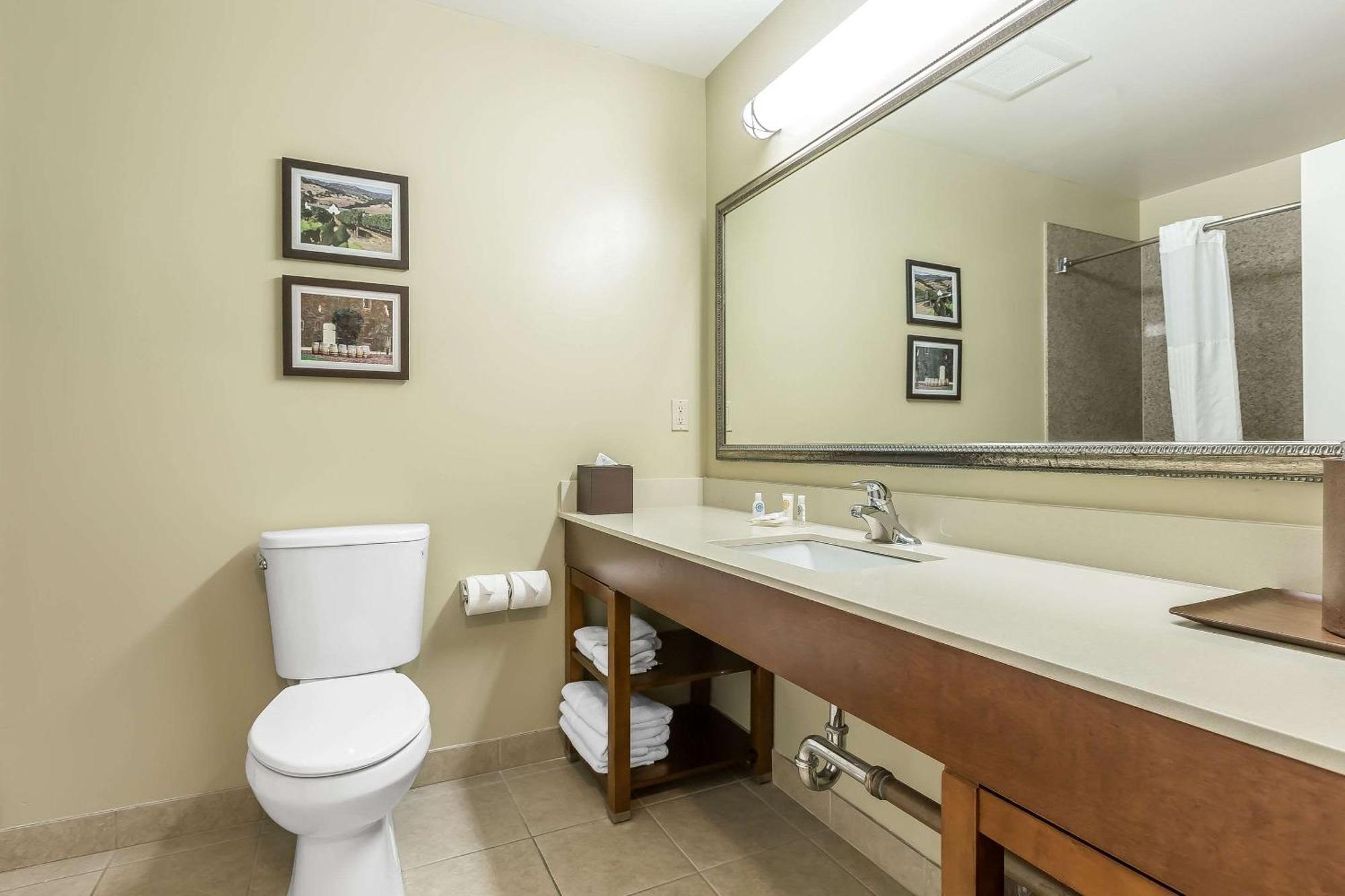 King Suite with Sofa-Bed - Non-Smoking