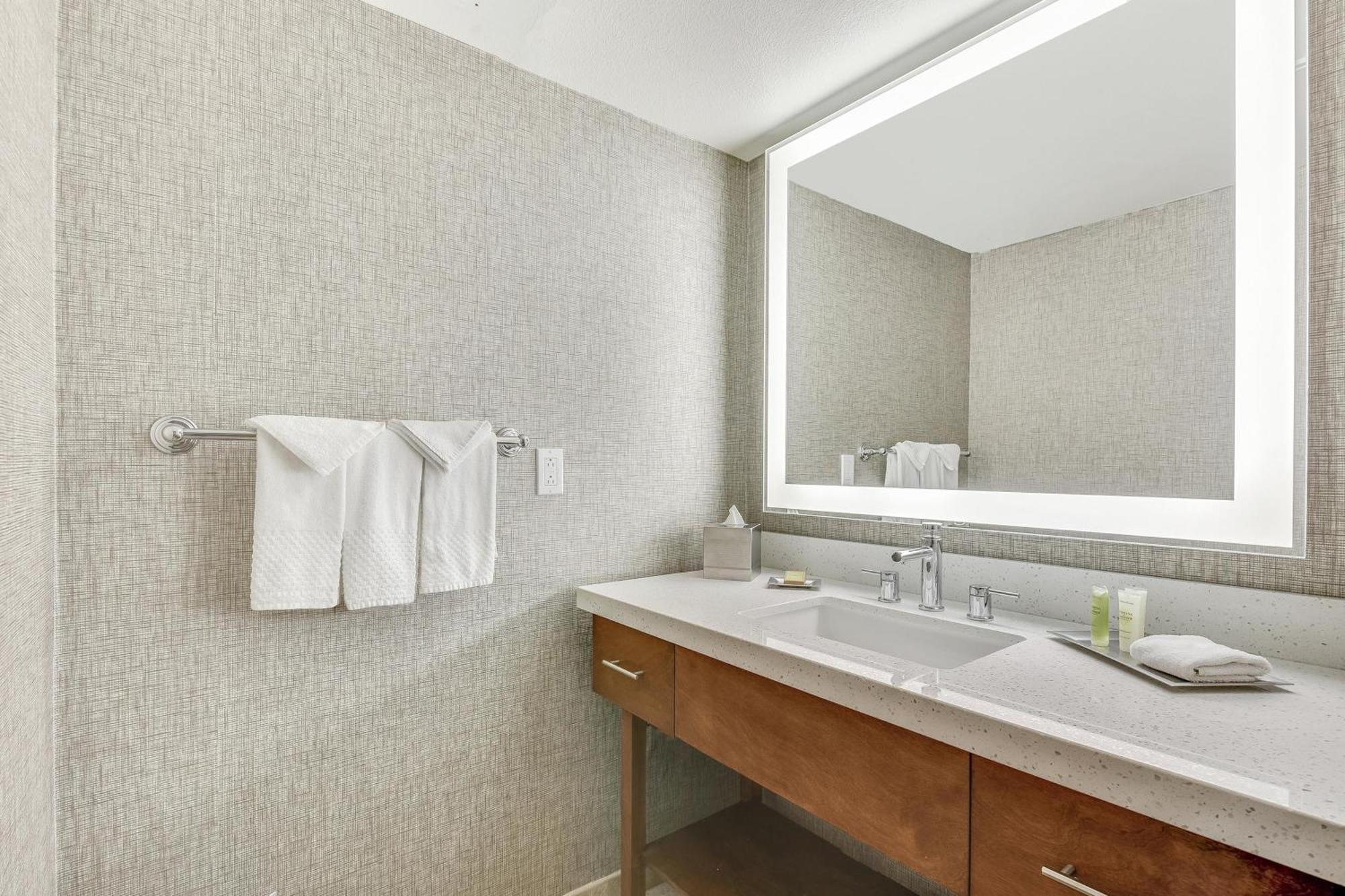 One-Bedroom King Suite