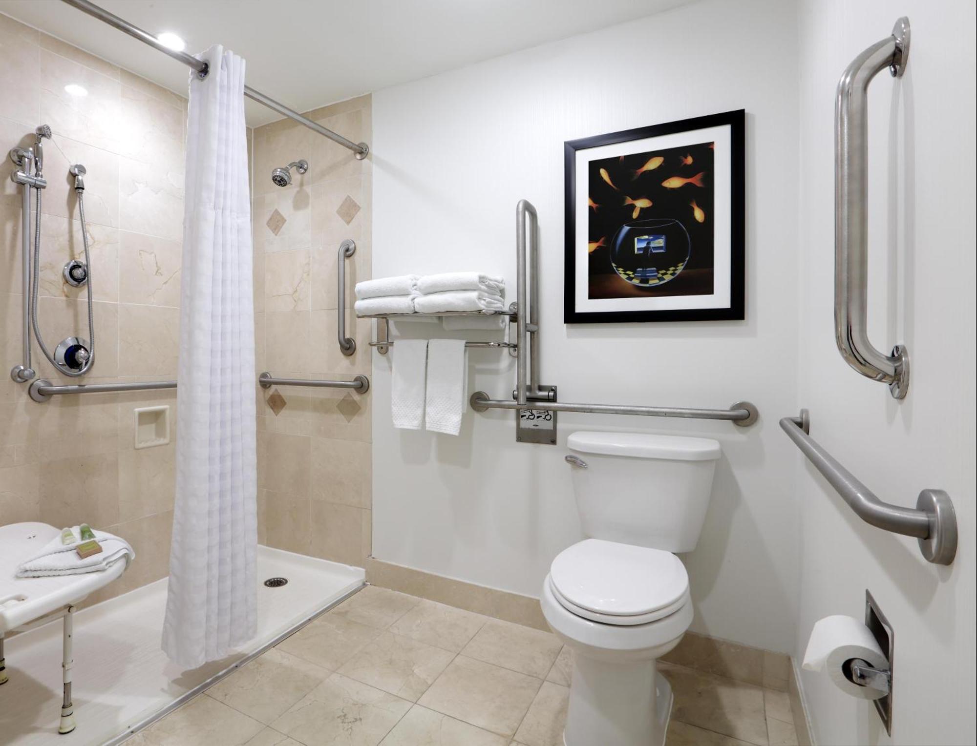 King Room Roll Shower Mobility Access