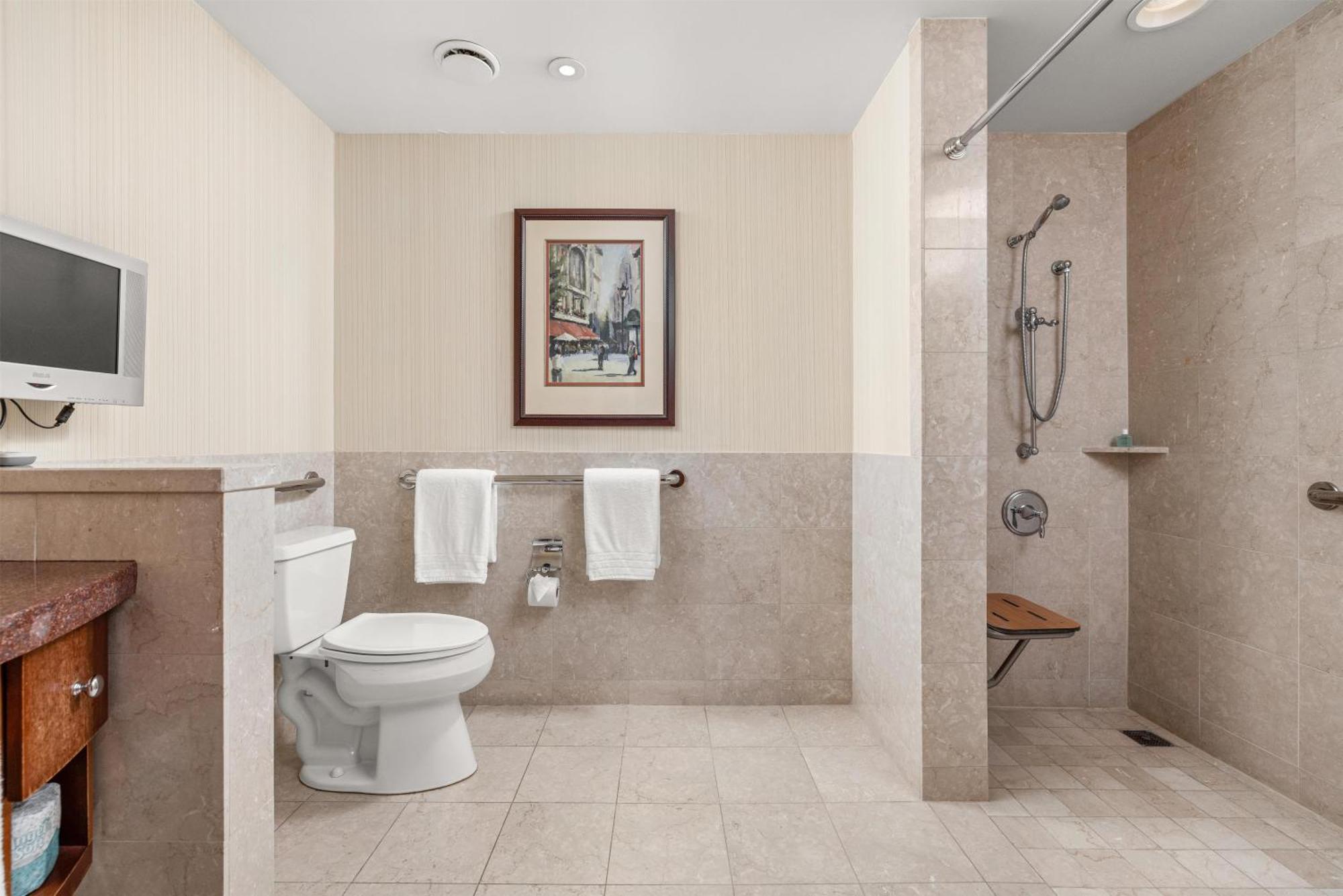 Deluxe King Room Transfer Shower Mobility Access