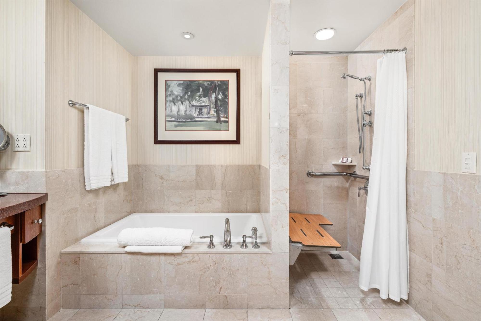 Deluxe King Room Transfer Shower Mobility Access