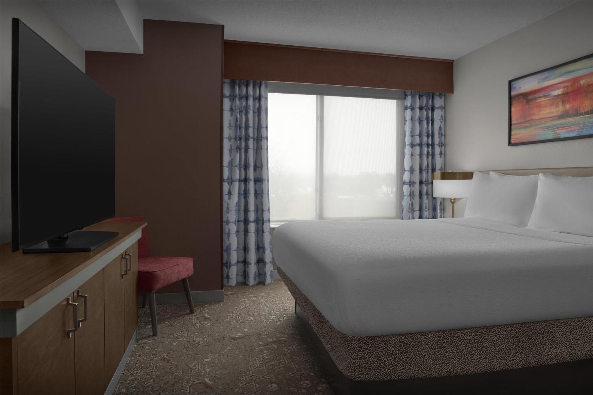 Junior King Suite with Sofa Bed