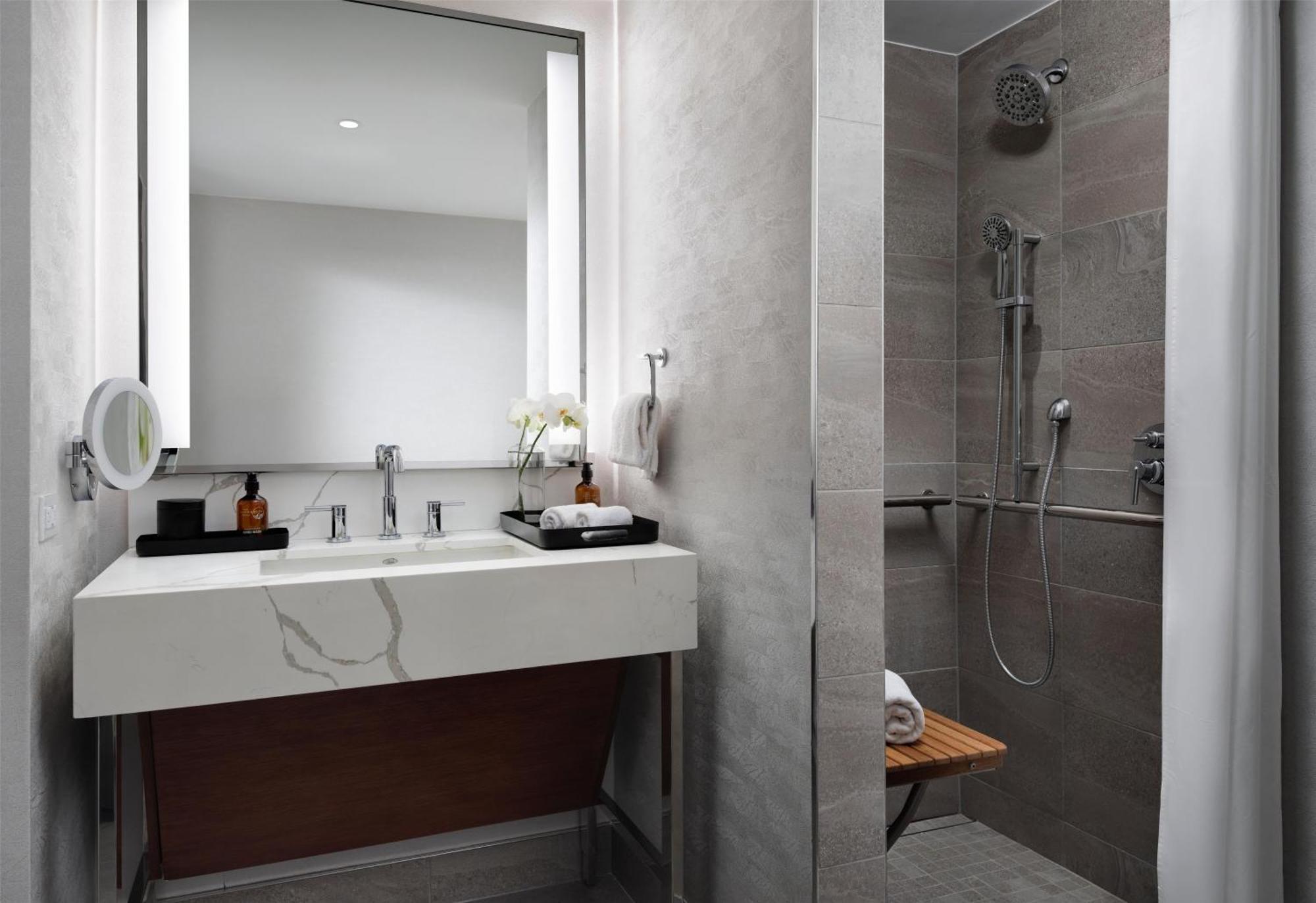 Deluxe King Room Roll Shower Mobility Access
