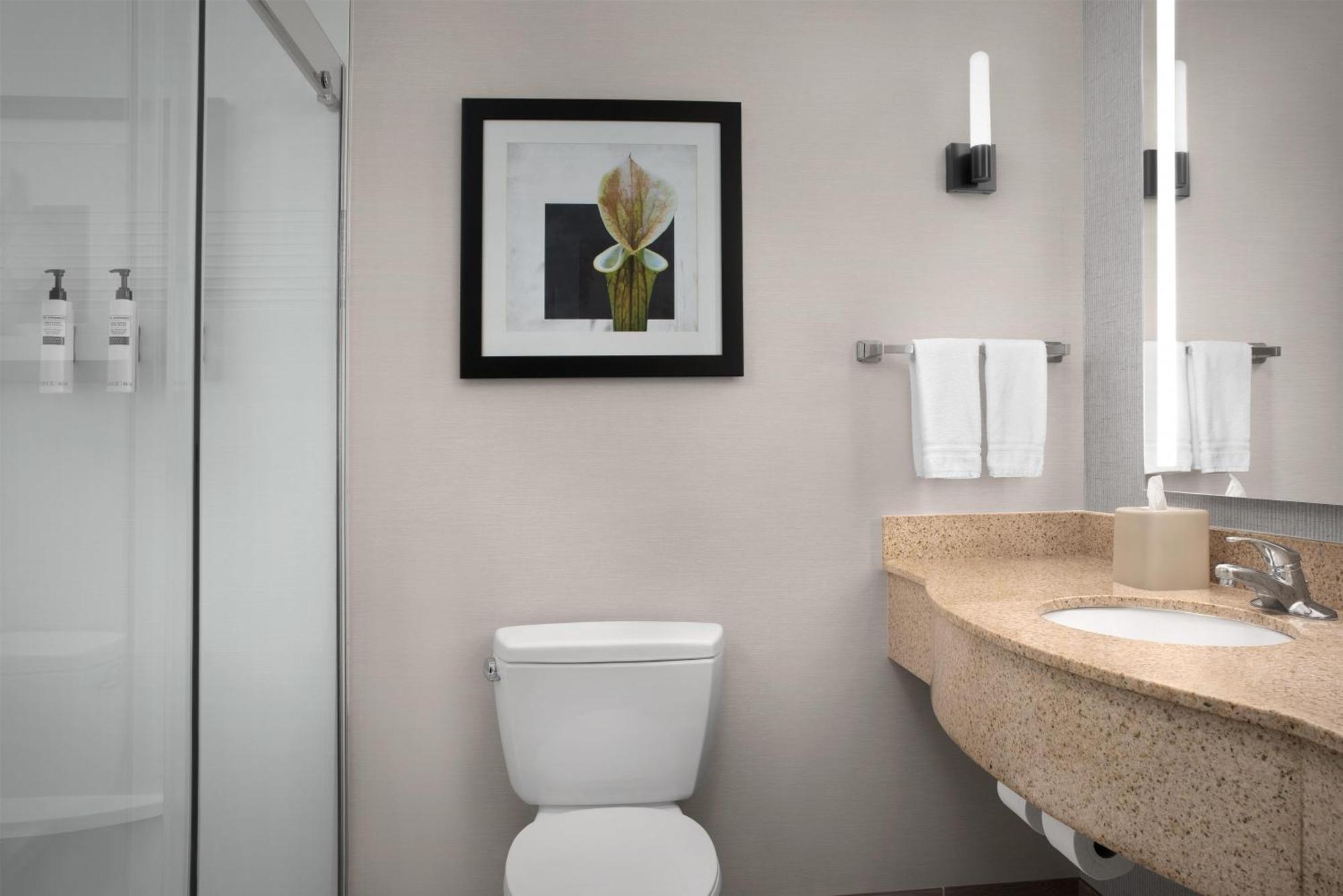 One-Bedroom King Suite