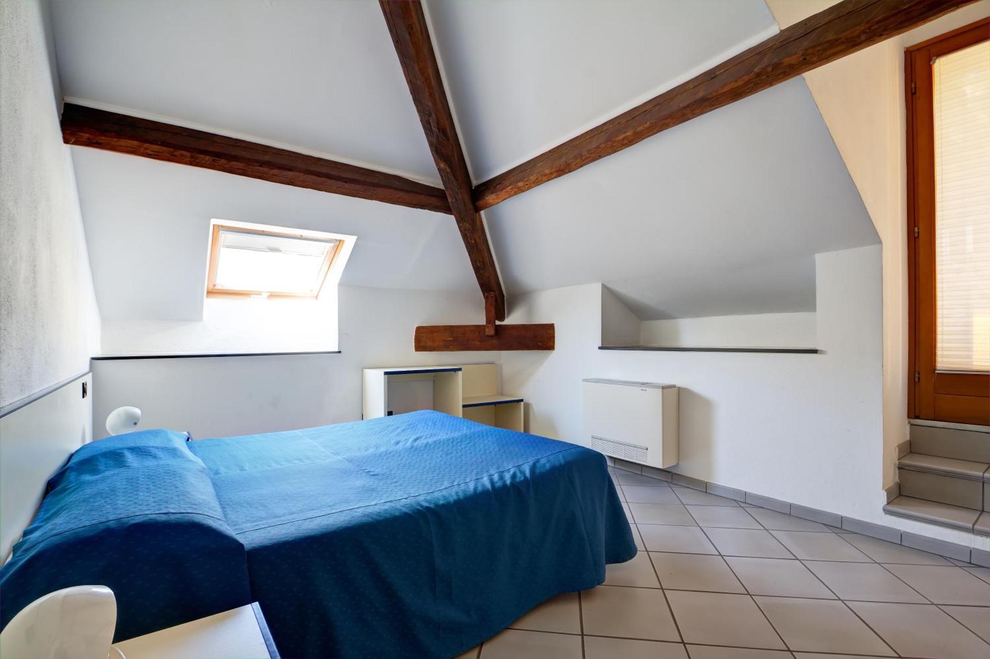 One-Bedroom Apartment Attic