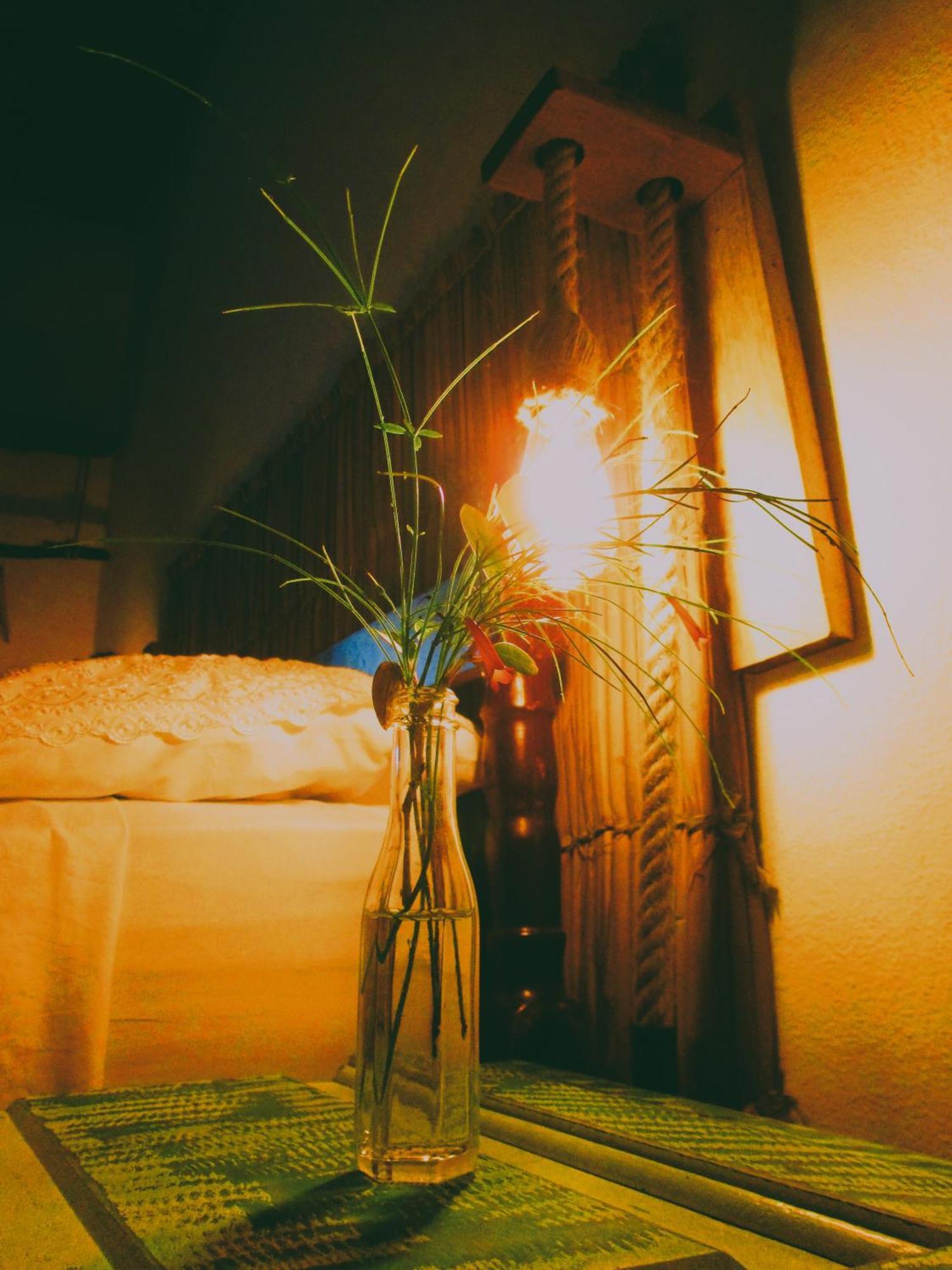 Suite Garden View