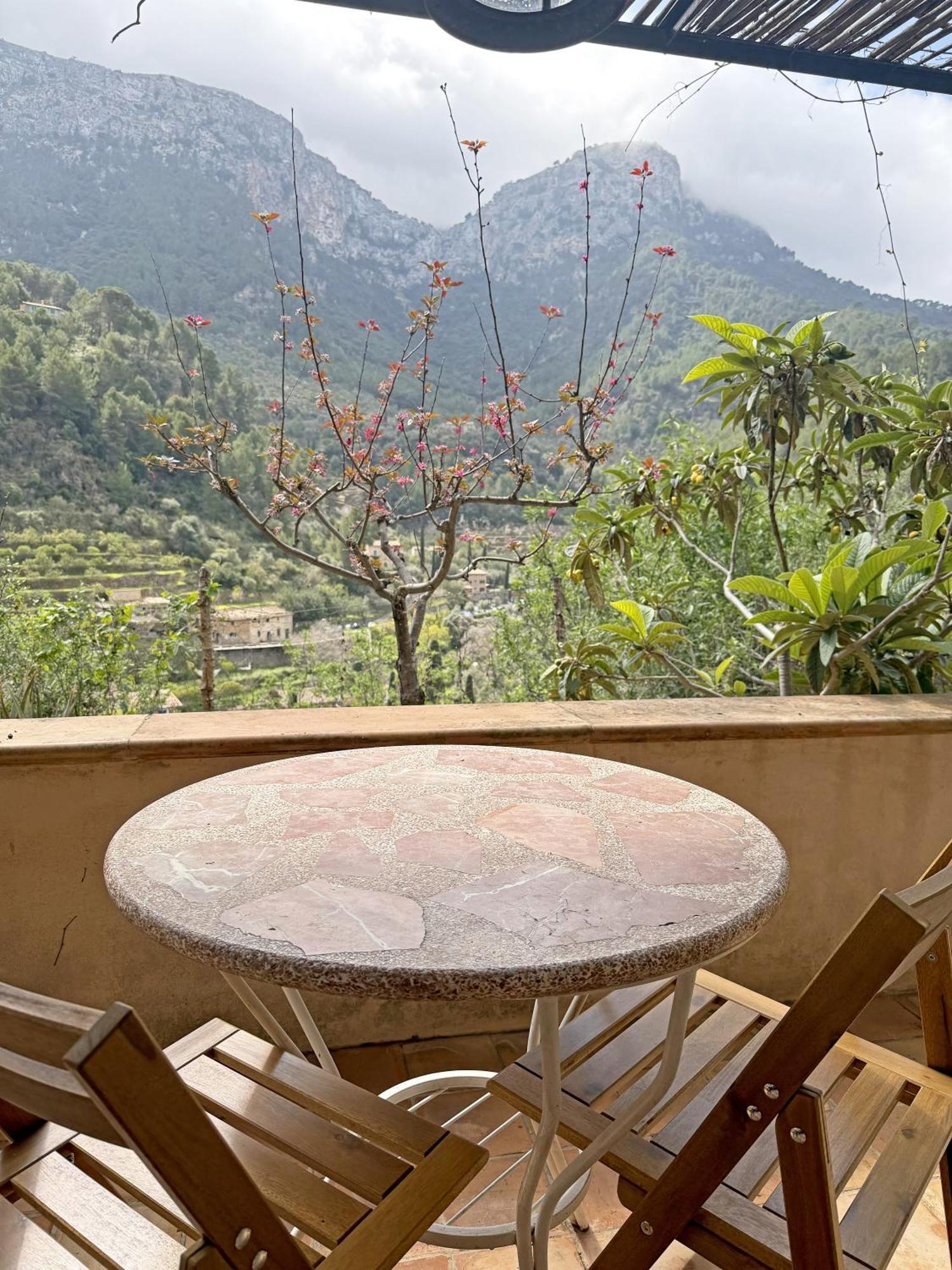 Superior Double or Twin Room Terrace