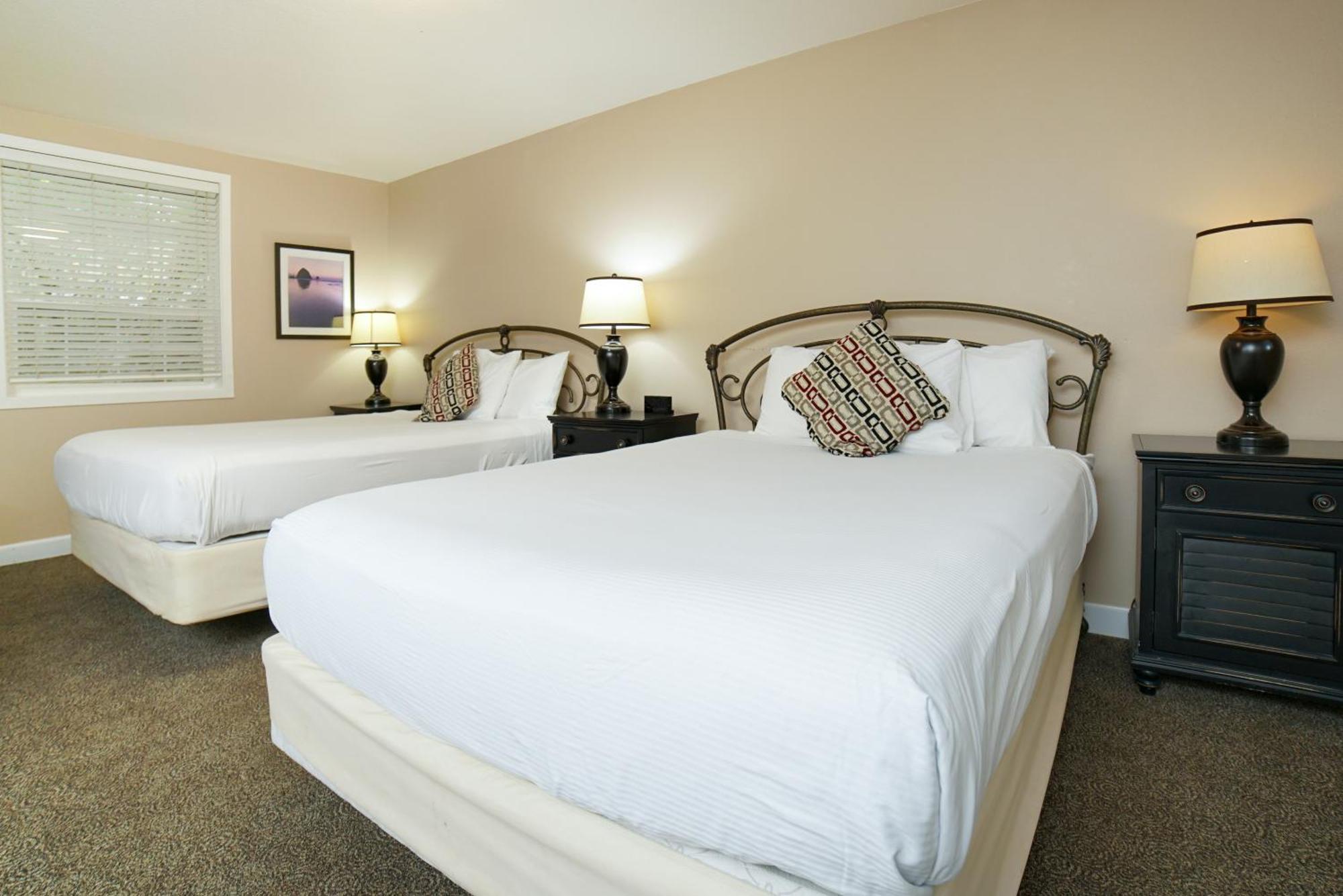Double Economy Room #14 pet-friendly