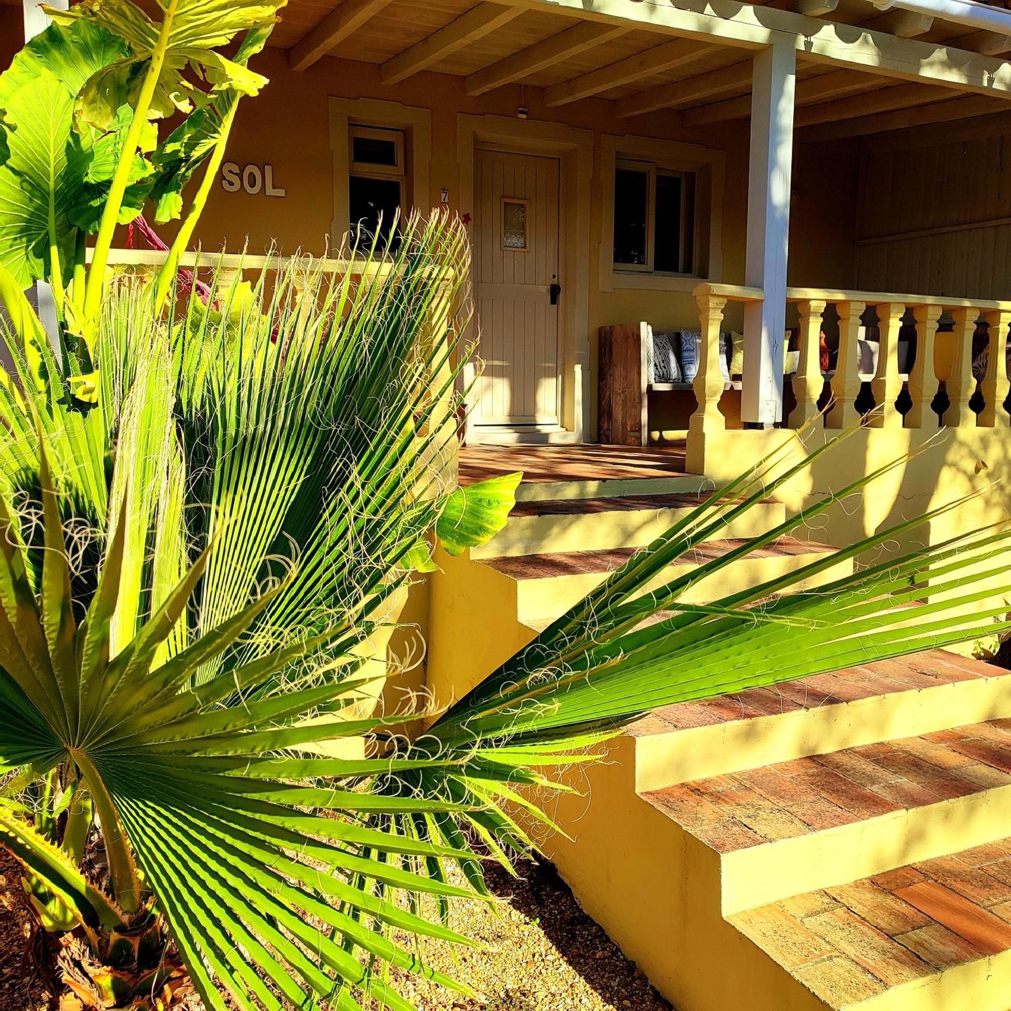 Suite Terrace