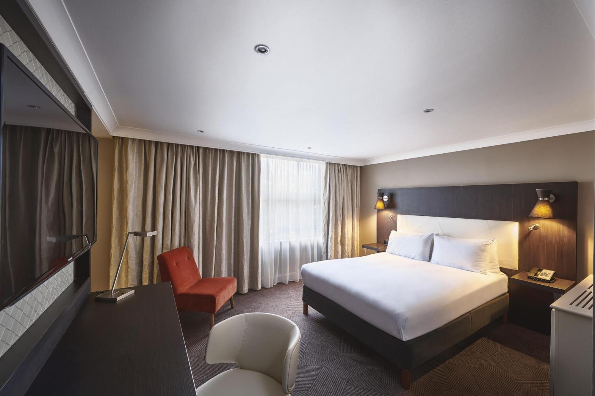 Junior Queen Suite