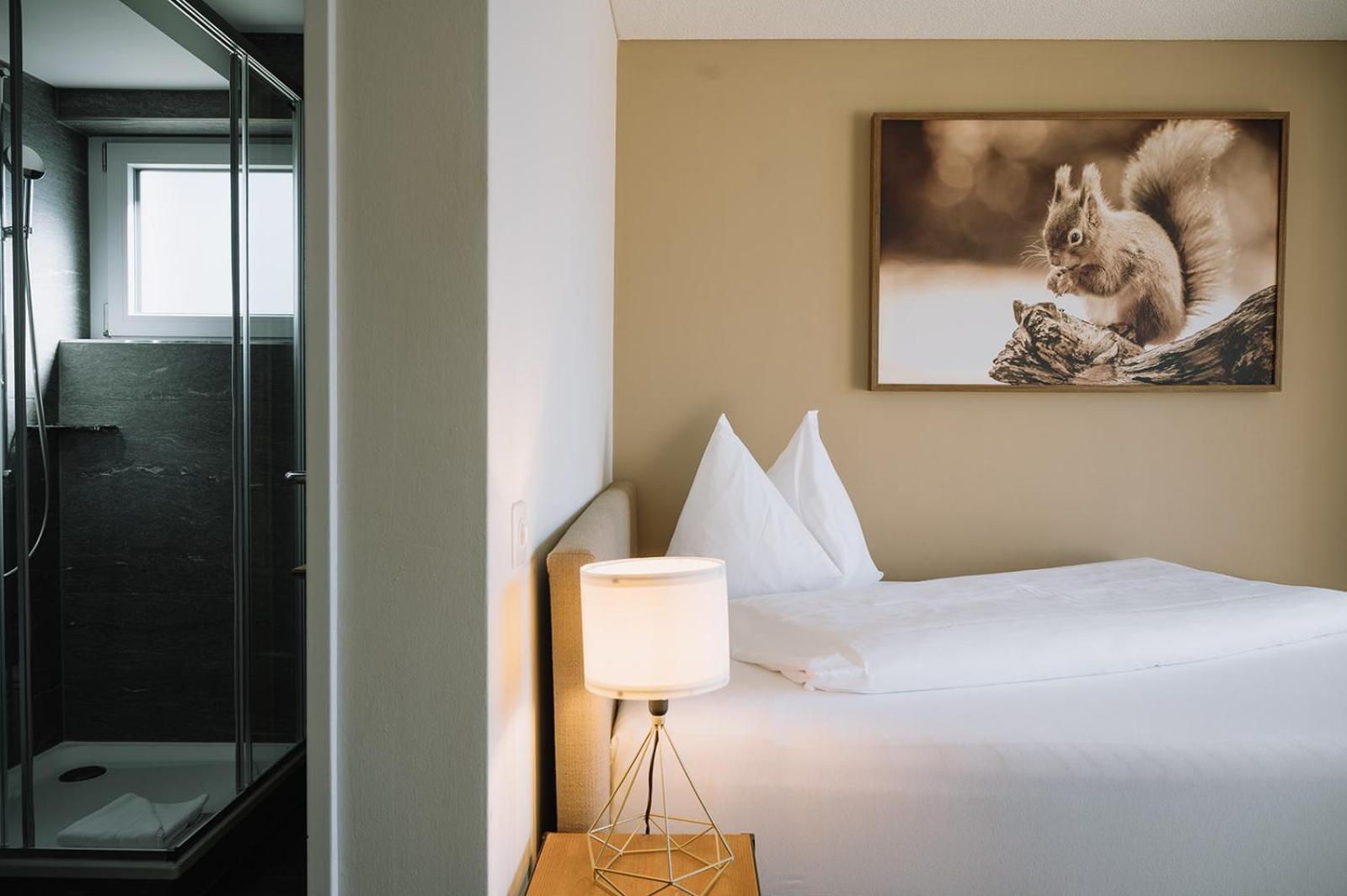 Single Room Balcony Lake View