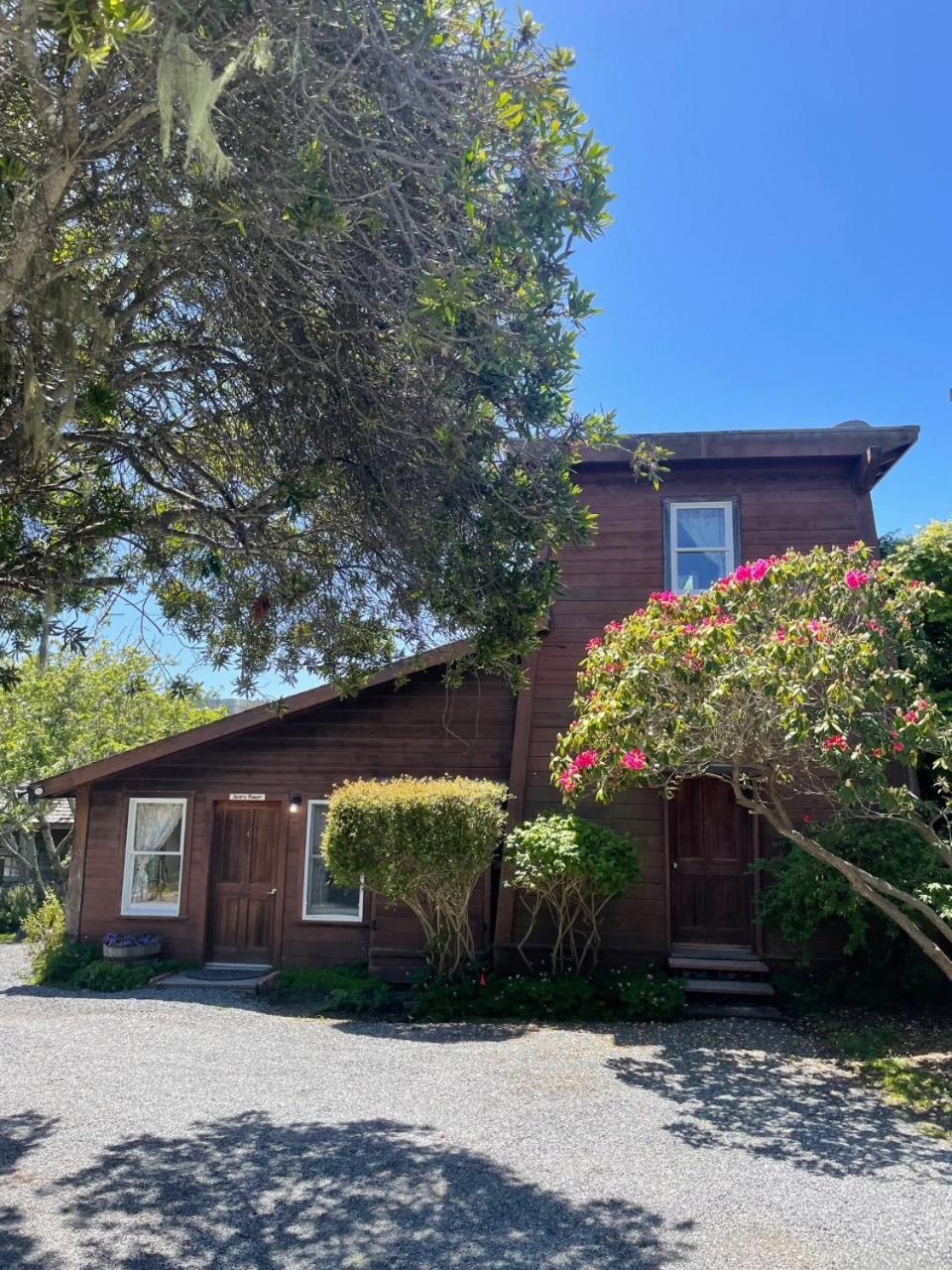 Duplex Quadruple Room Pet Friendly