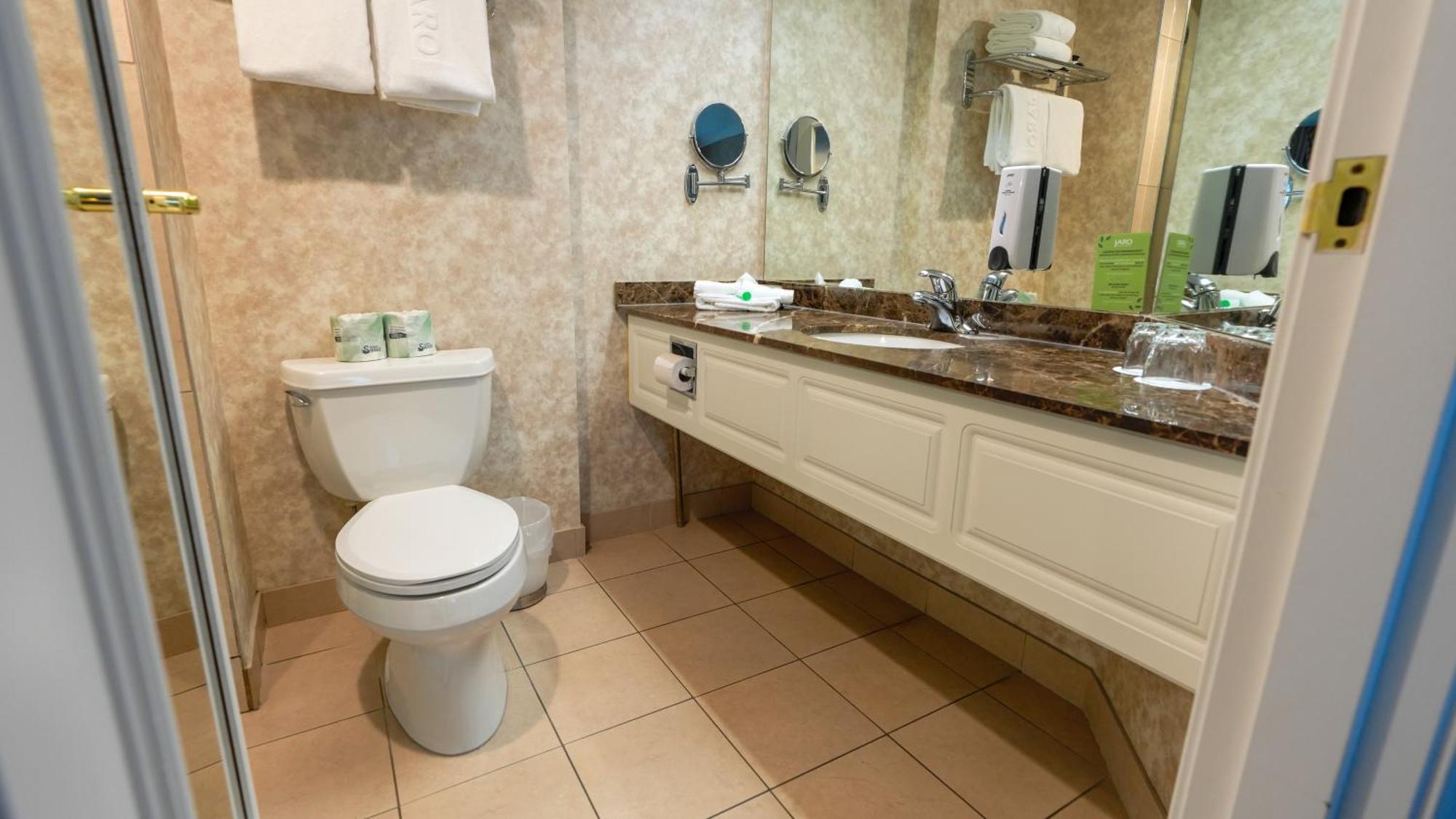 Classic Room 1 Queen Bed Glass Shower