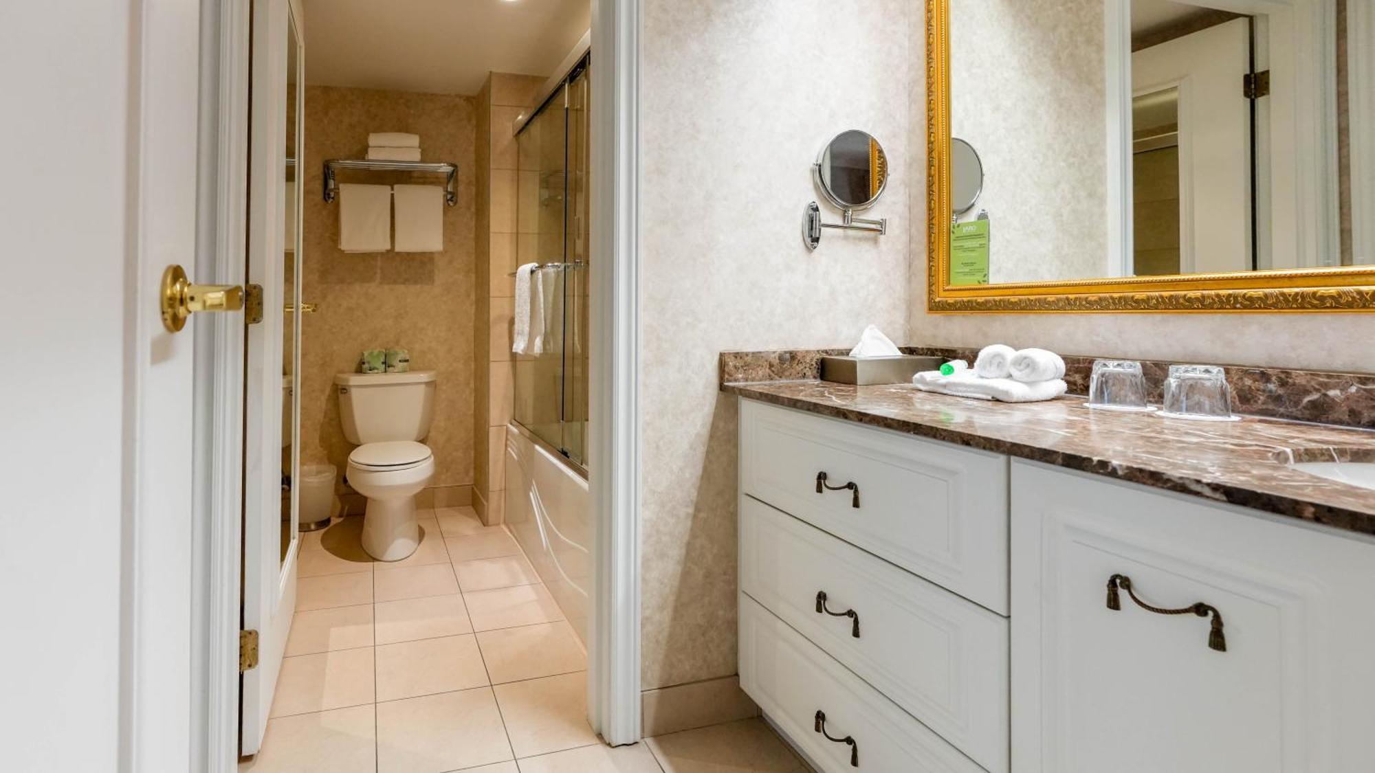 Suite, 1 Queen Bed and Sofa-Bed (Interior),1765934626:JPEG