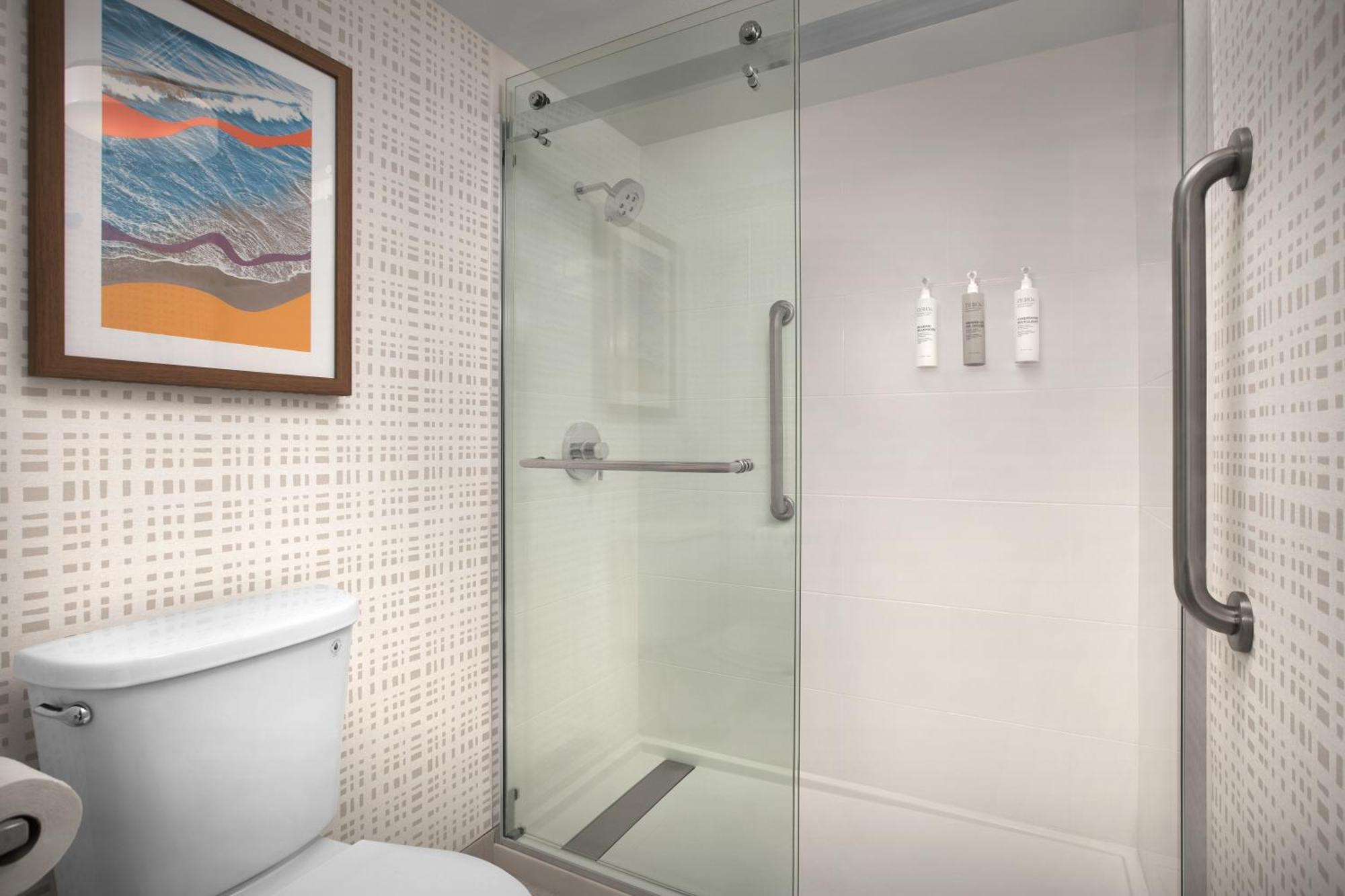 One-Bedroom King Suite Non-Smoking