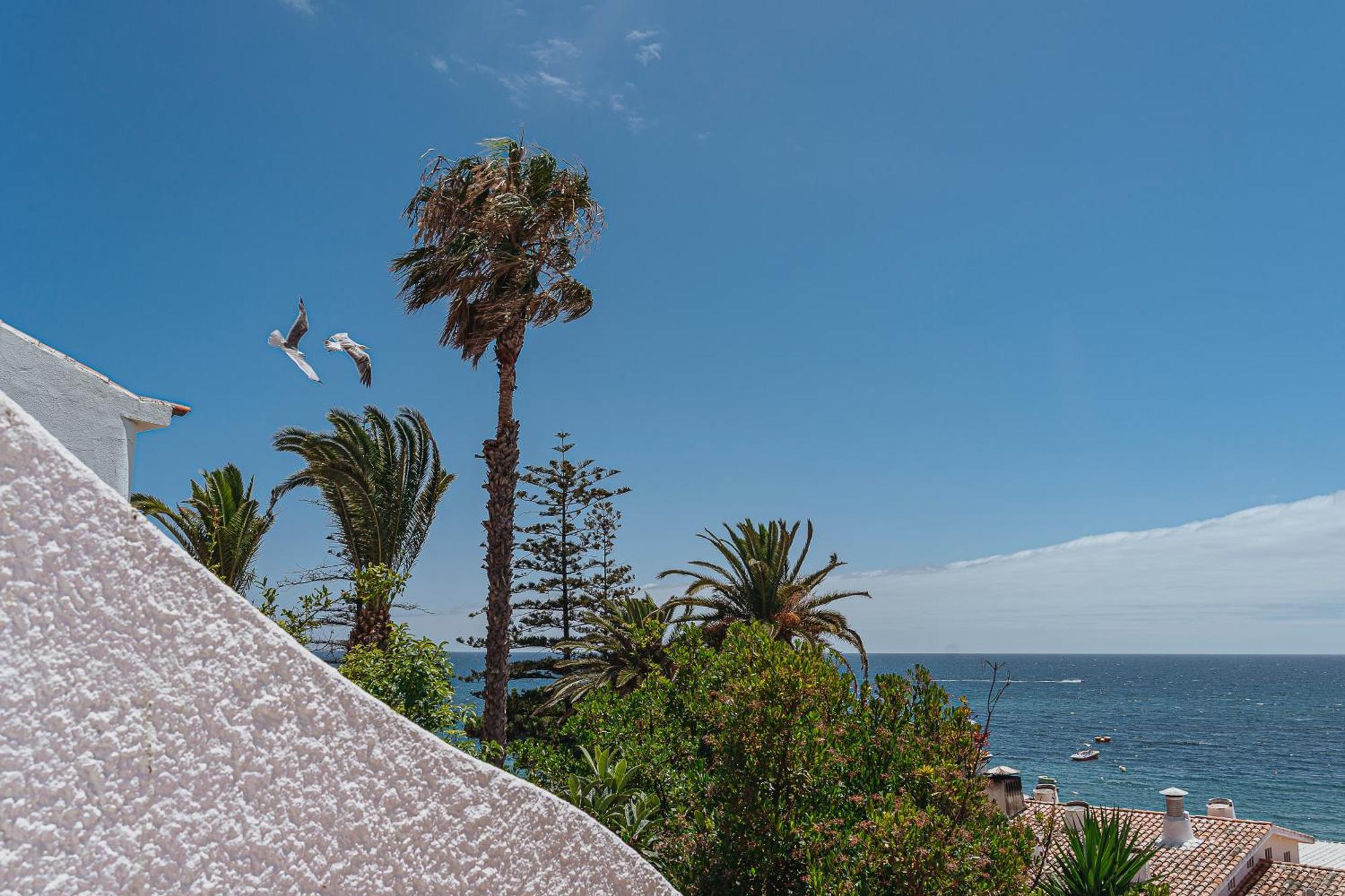 Studio Sea View