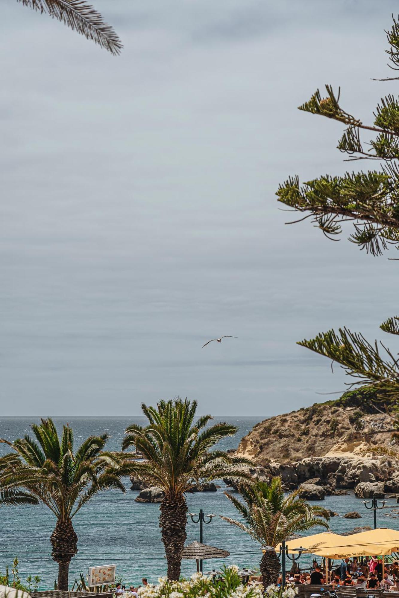 Studio Sea View