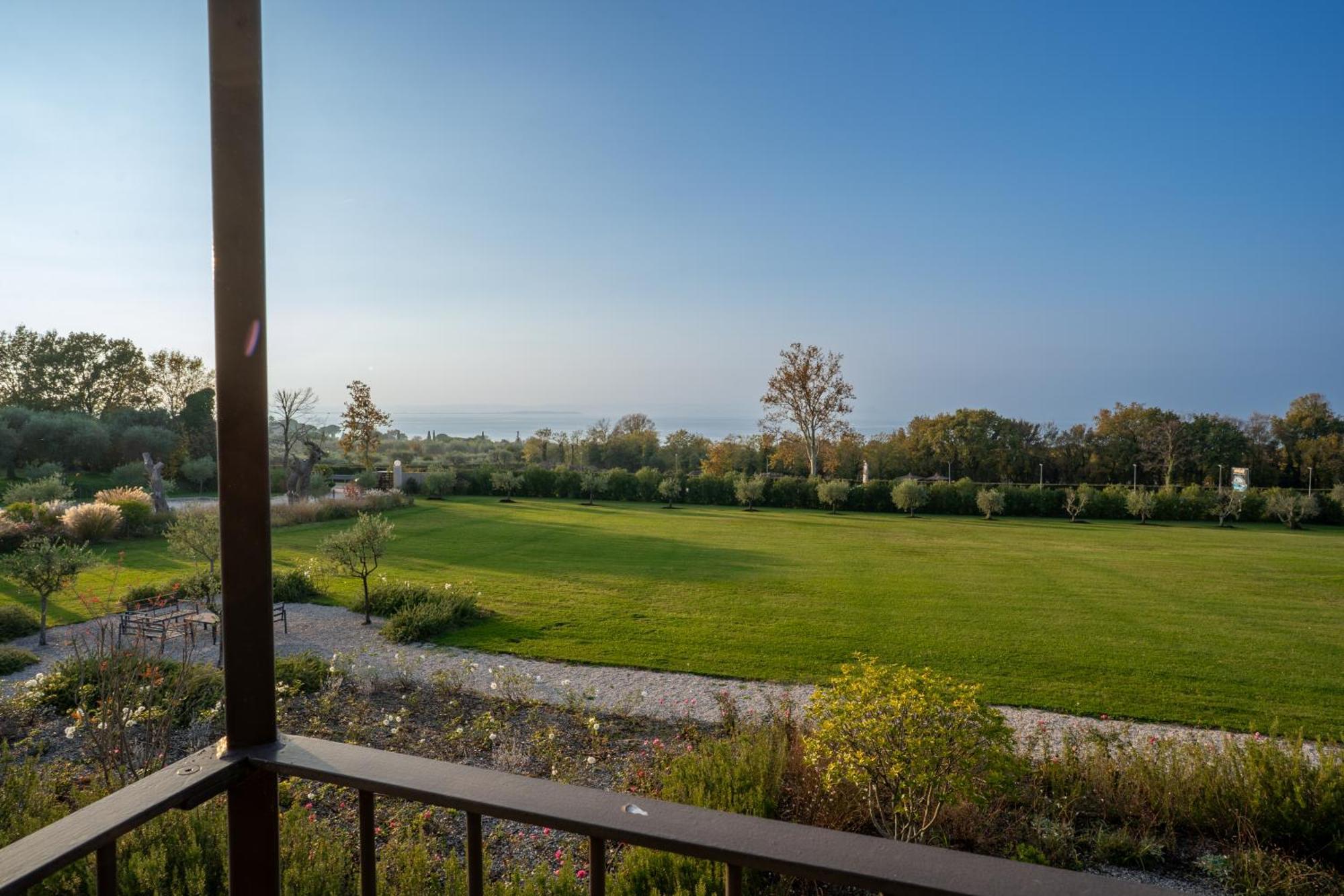 Junior Suite Vineyard View