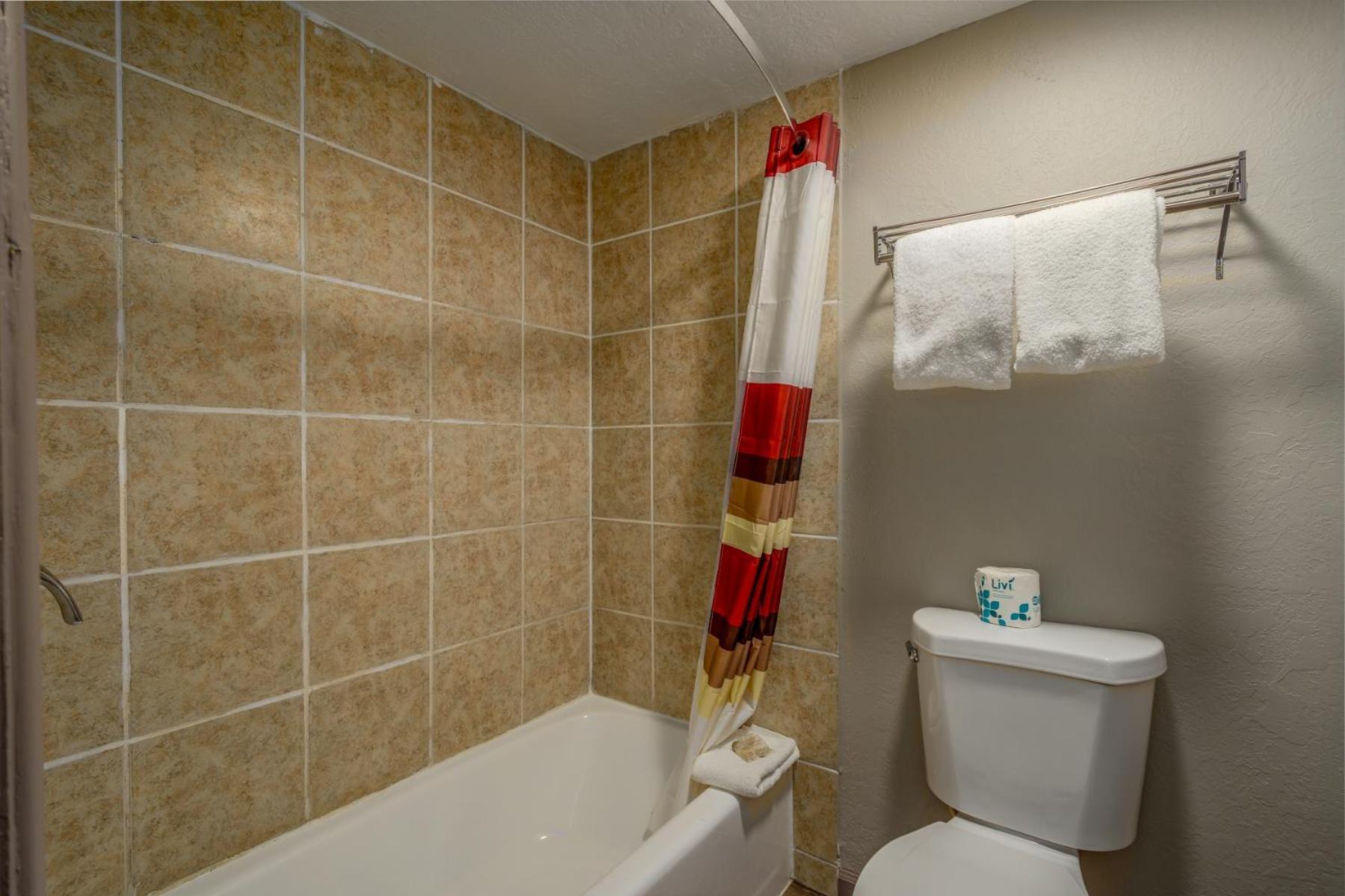 King Room Mobility Access Bathtub Grab Bars Non-Smoking