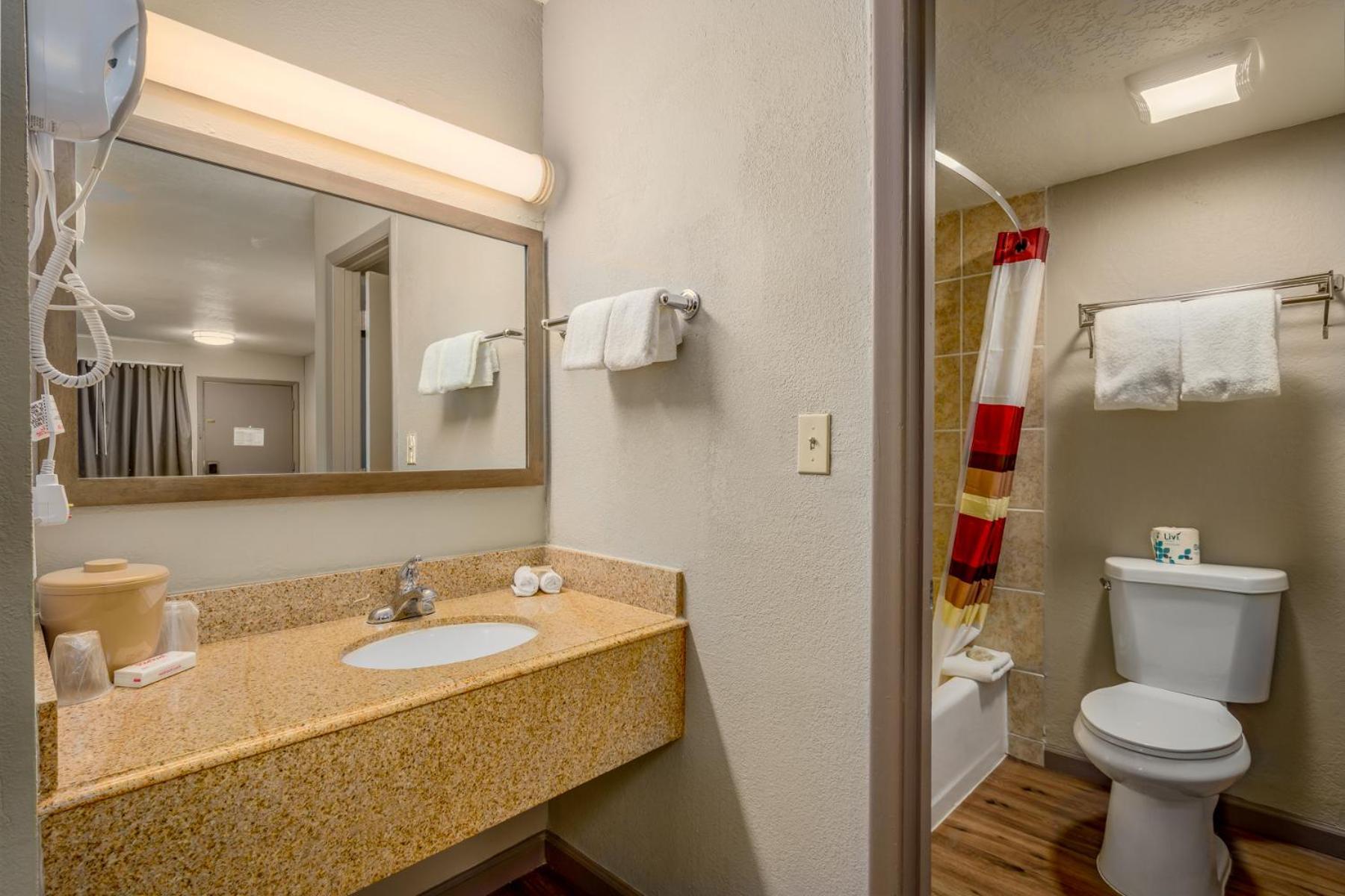 King Room Mobility Access Bathtub Grab Bars Non-Smoking
