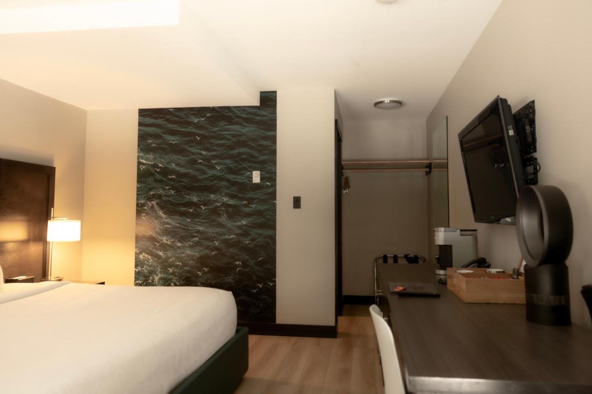 Standard King Room No View