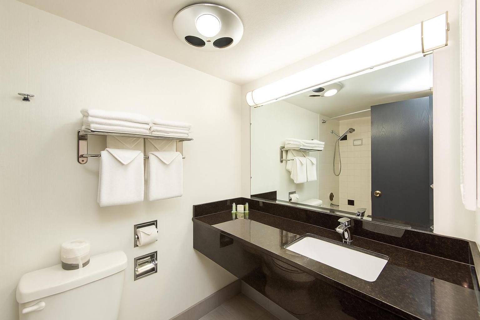 Deluxe King Suite