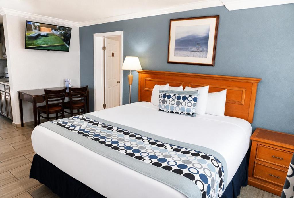 Suite Apartment