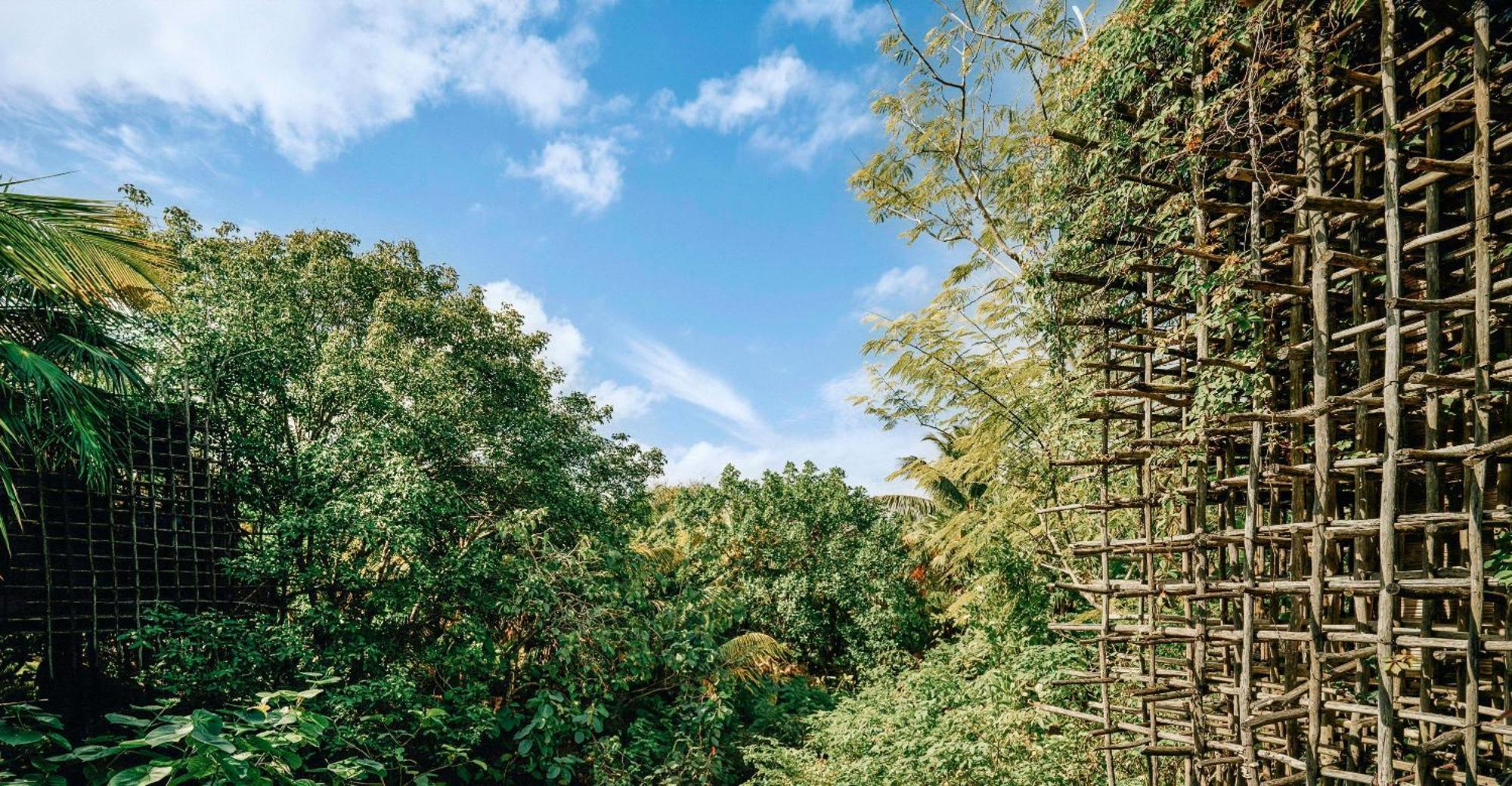 Treehouse
