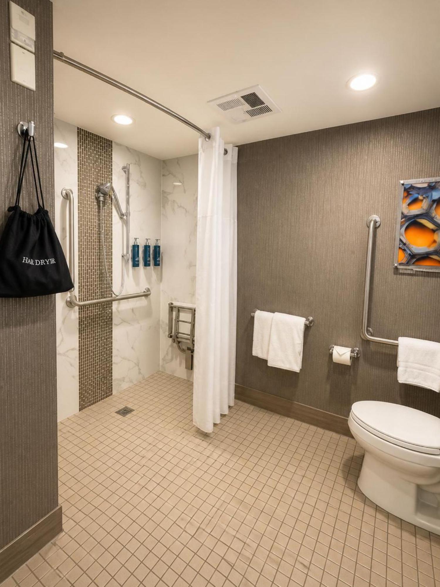 King Room Mobility Accessible Roll Shower