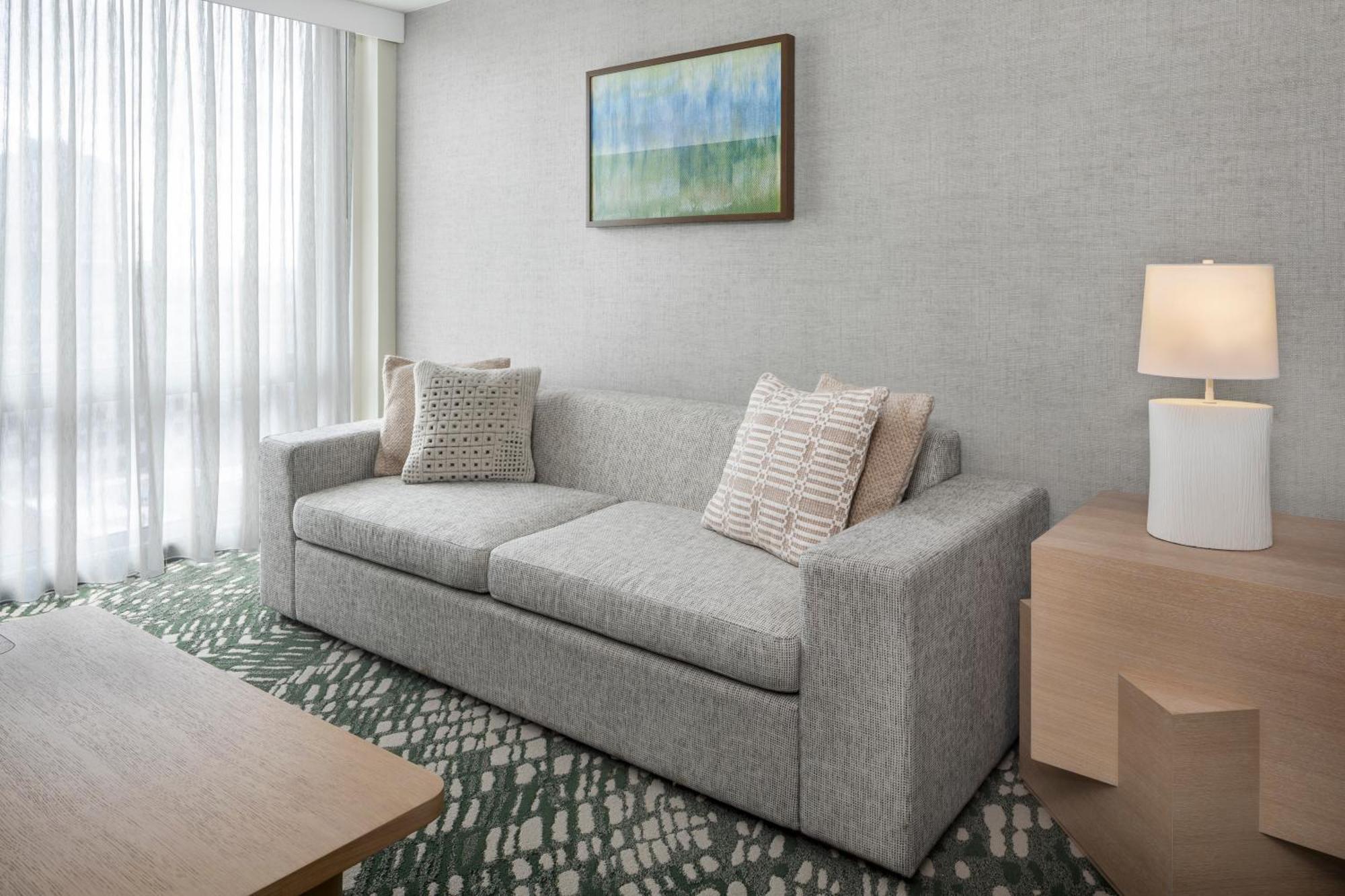 Larger Suite 1 King Sofa bed City view