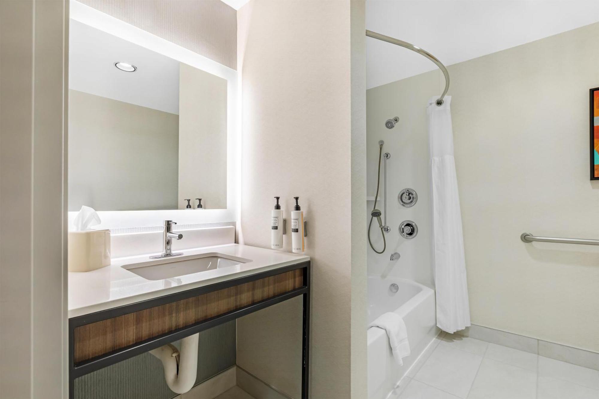 King Room Accessible Tub Mobility Access