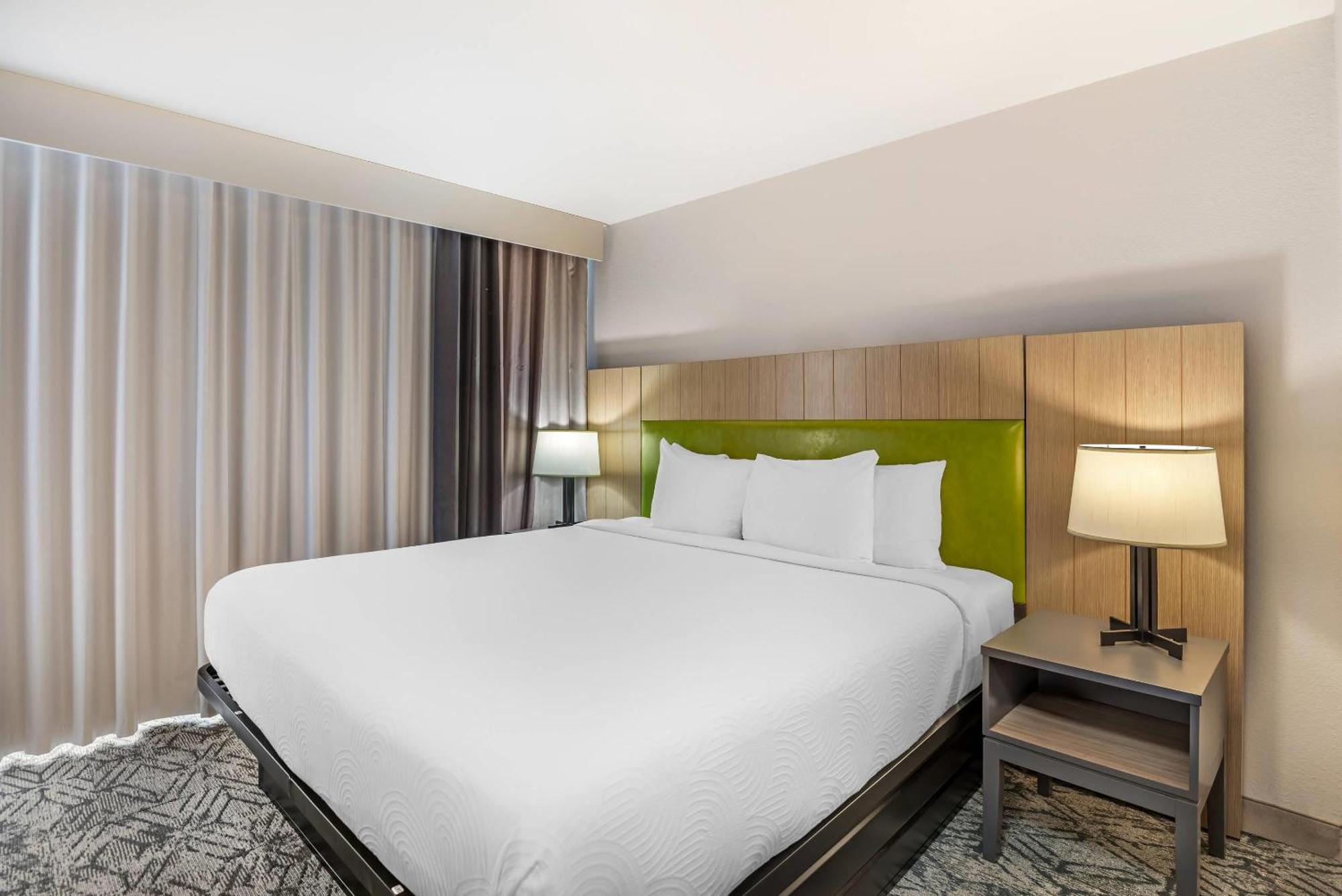 One-Bedroom King Suite - Non-Smoking