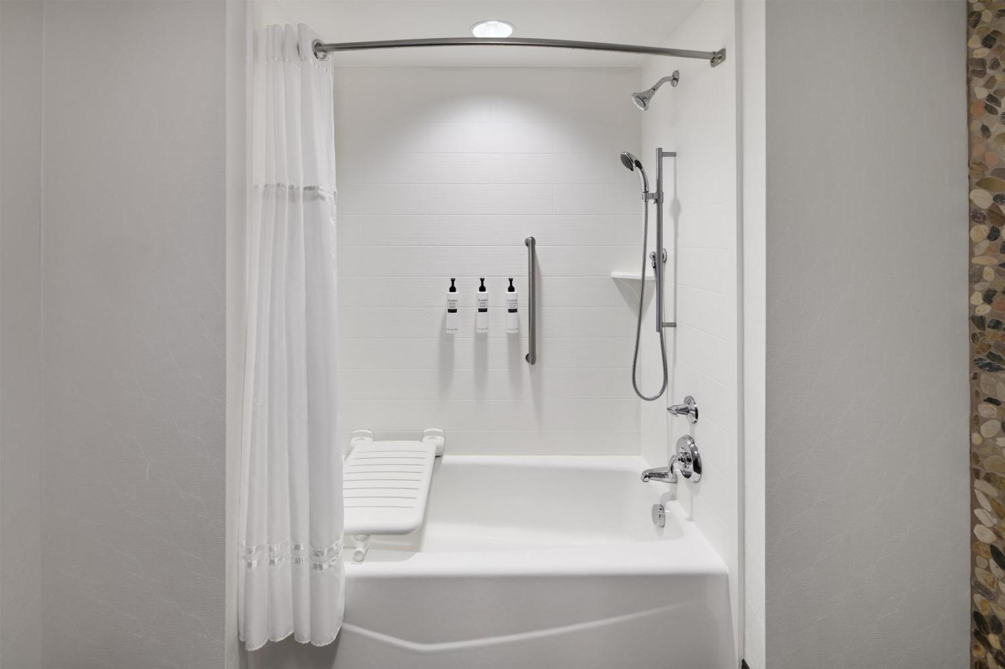 King Room Accessible Tub Mobility Access