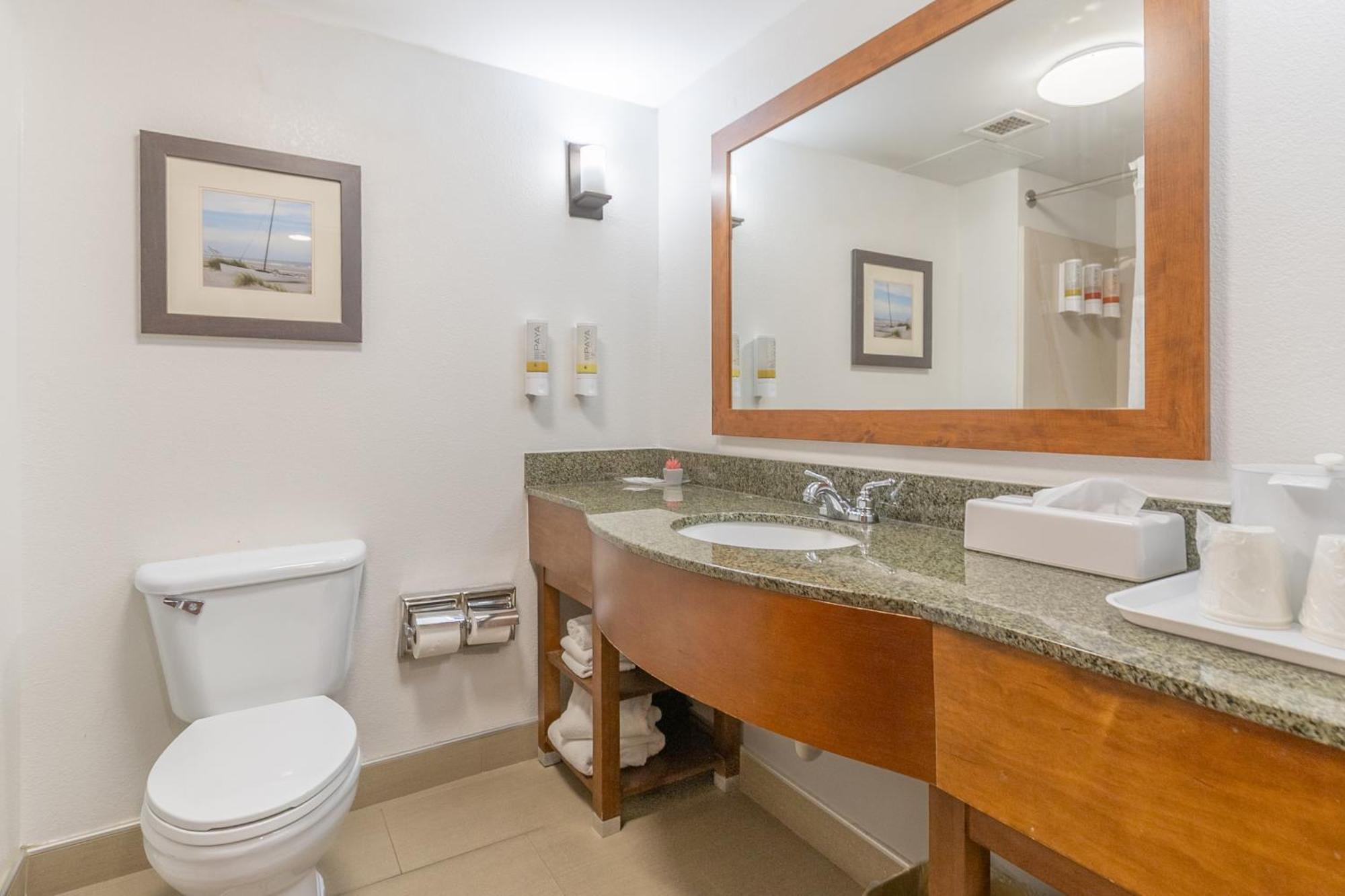 Queen Suite One-Person Sofa Bed Non-Smoking or Pet-Friendly