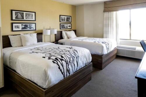 Double Room with Two Double Beds - Non-Smoking