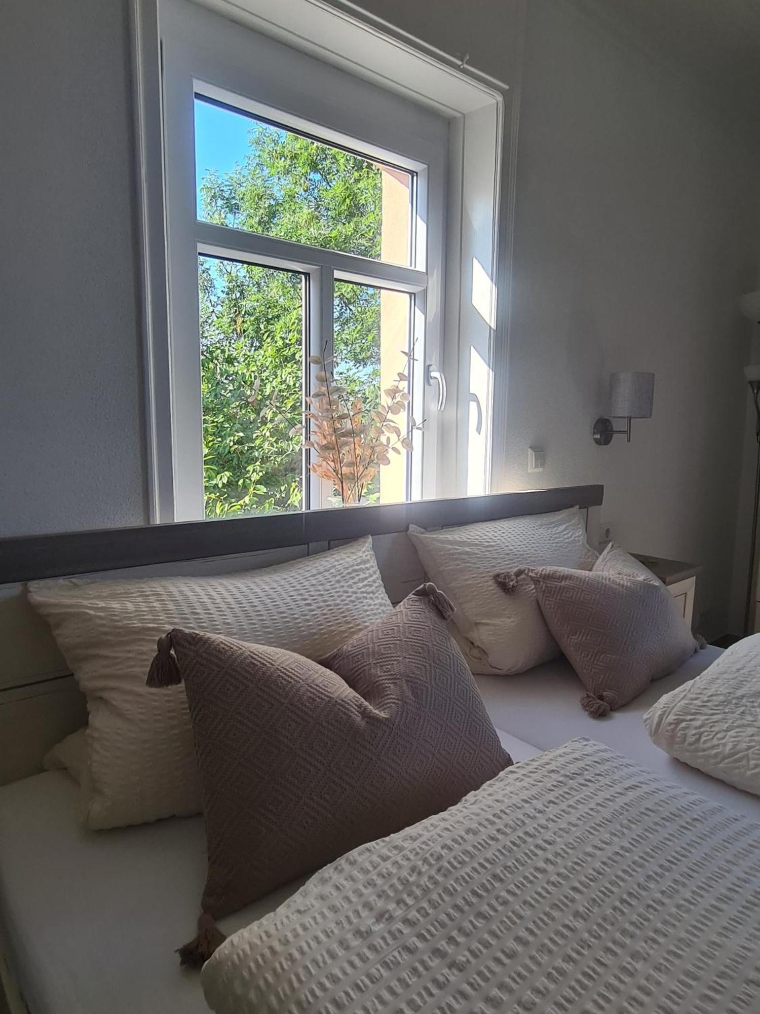 One-Bedroom Apartment View