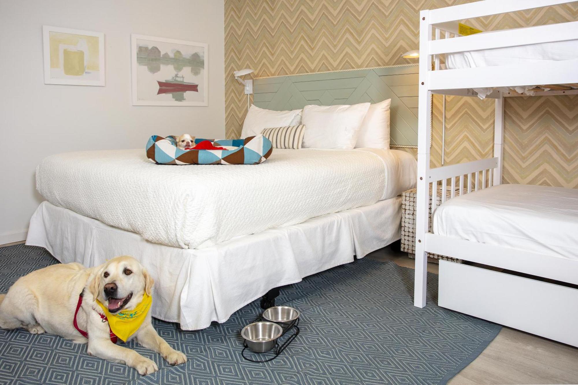 Cove King Bunk Bed