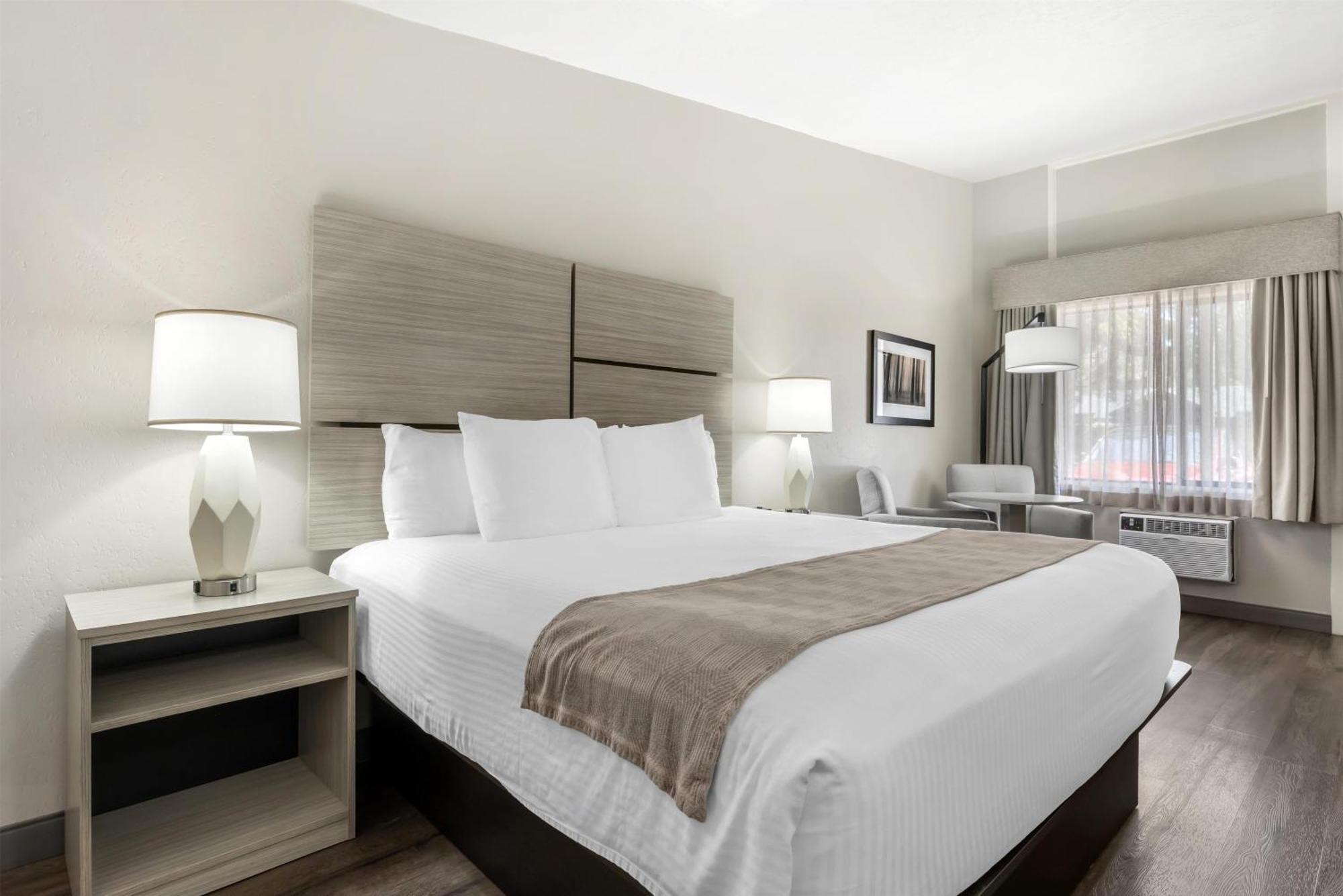 King Room Pet-Friendly