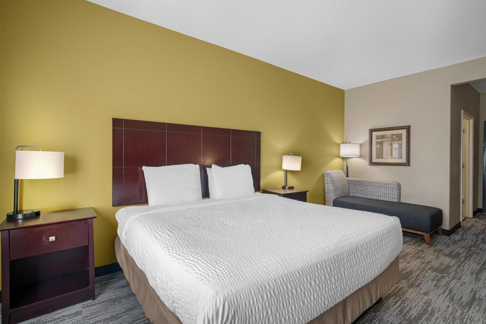 King Room Mobility Accessible Bathtub