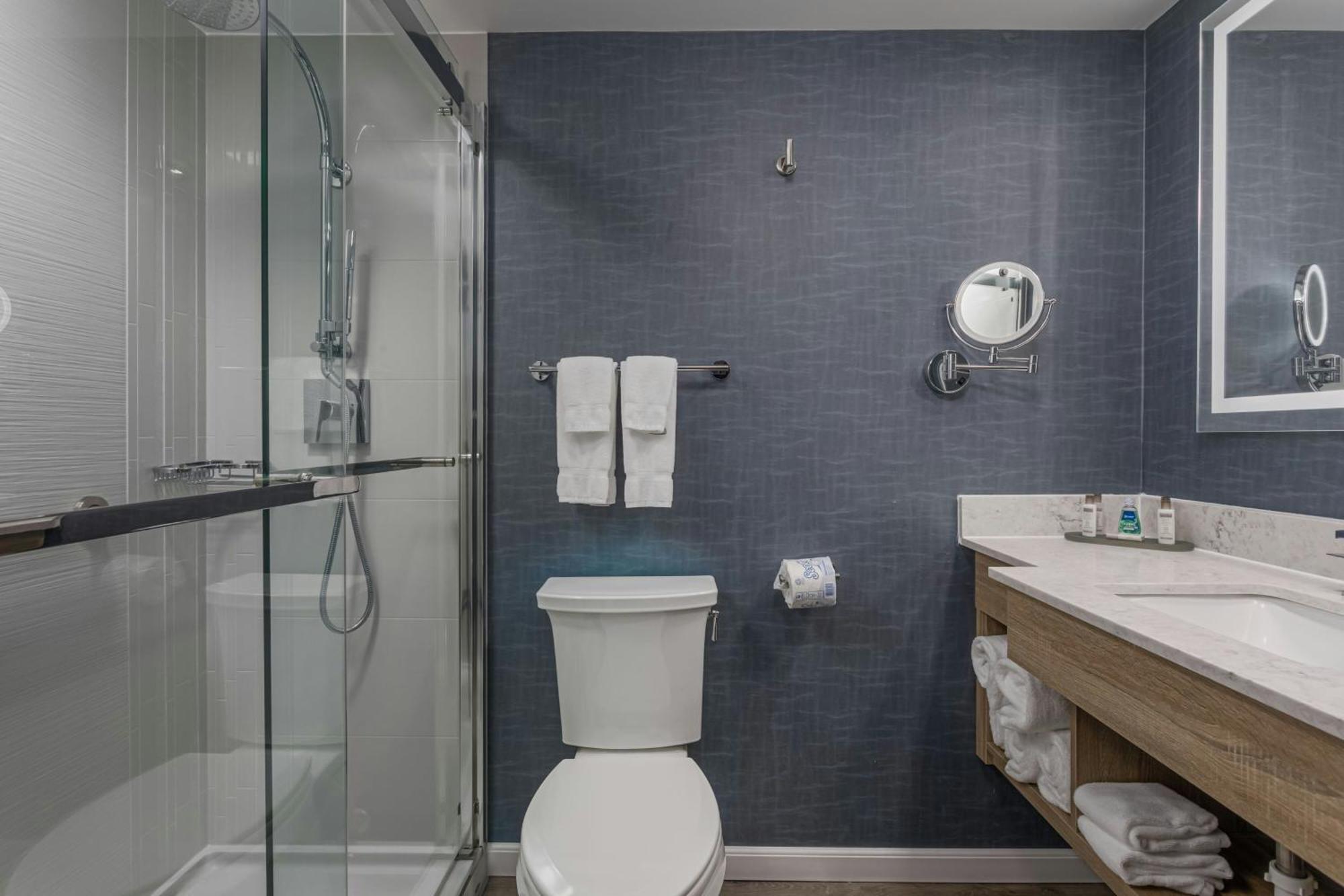 Standard King Room Limited View