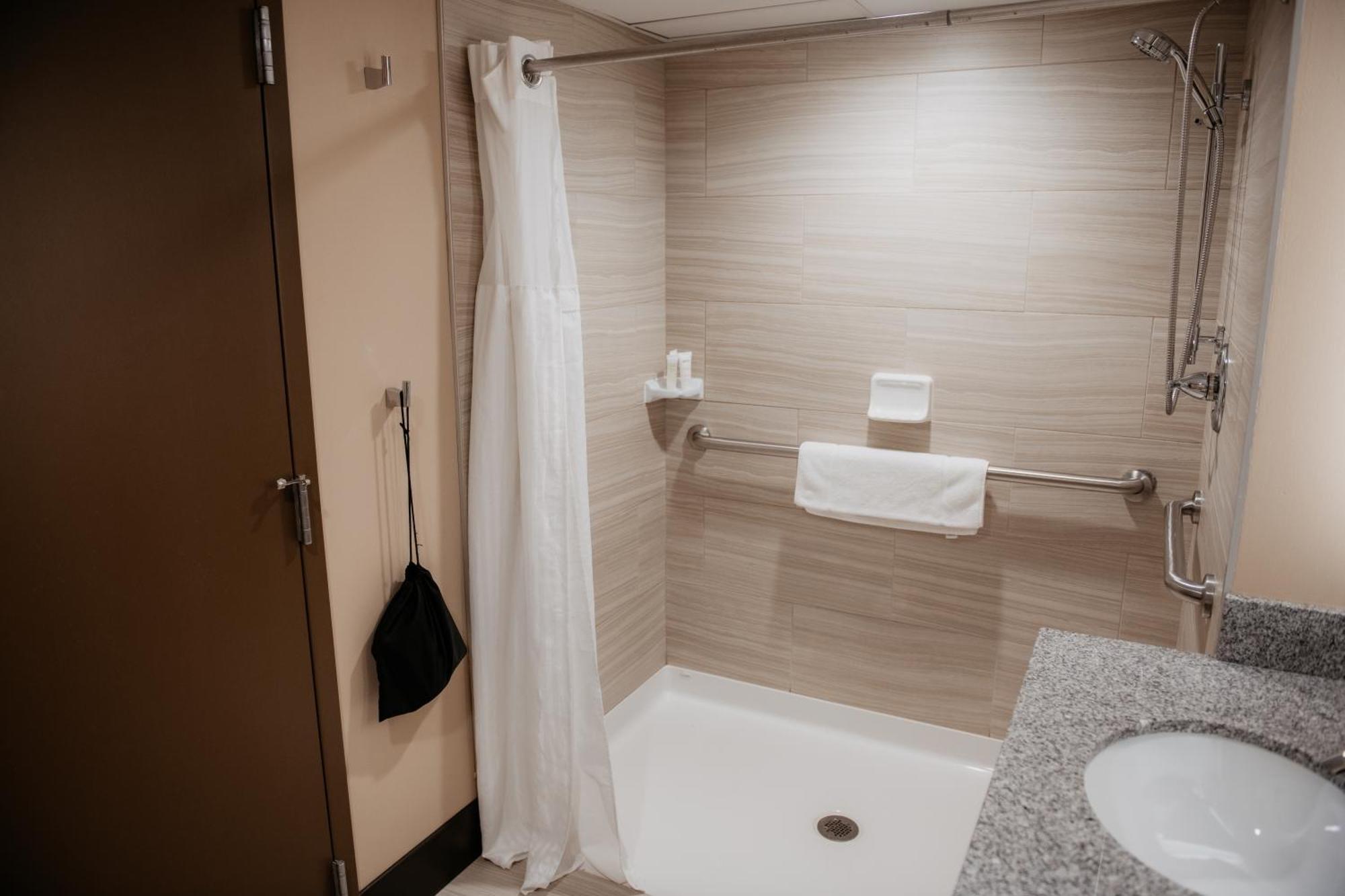 King Room Roll Shower Disability Access or Non-Smoking
