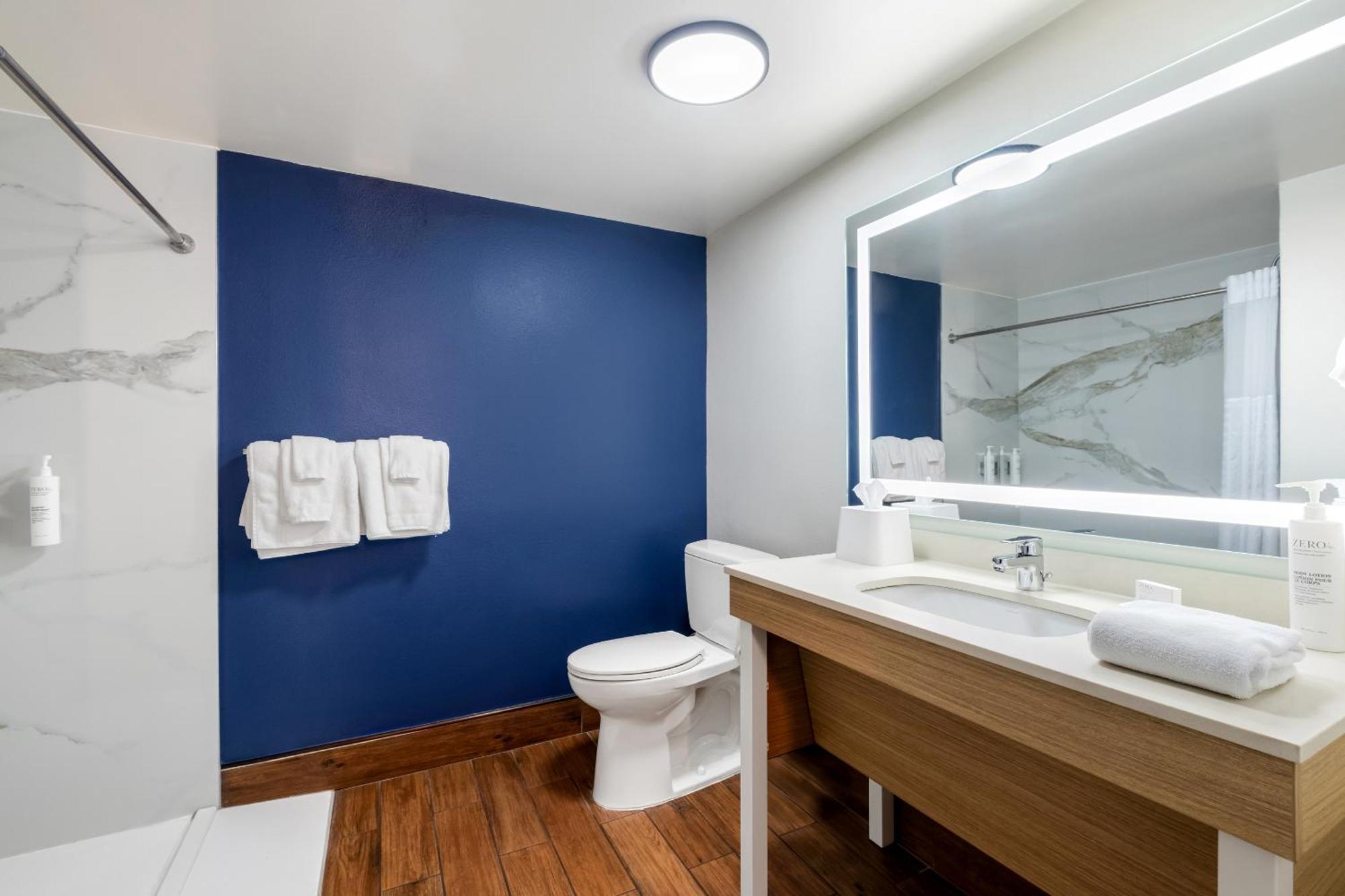 King Room Roll Shower Mobility Access
