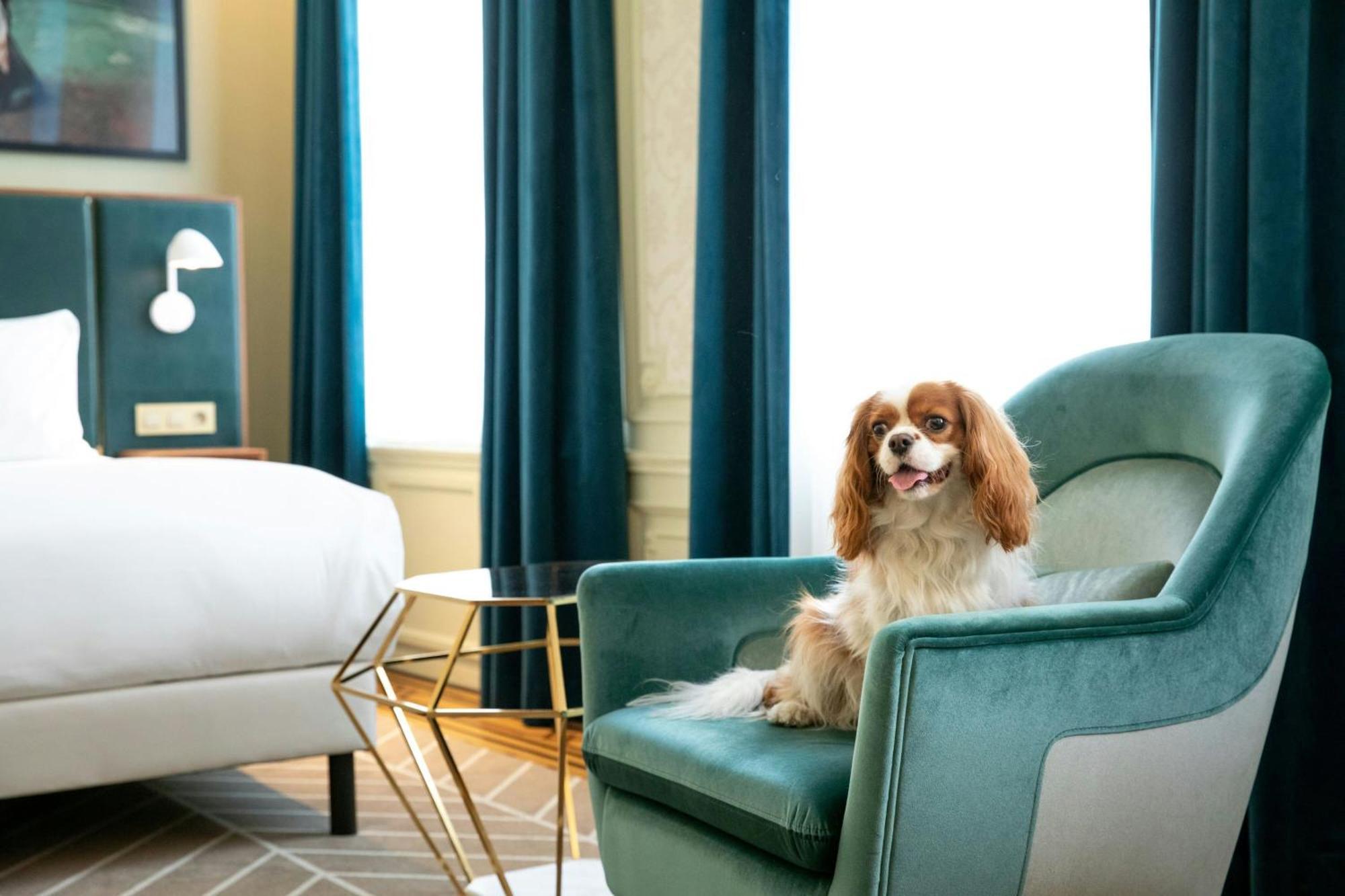 Sapphire Deluxe Room